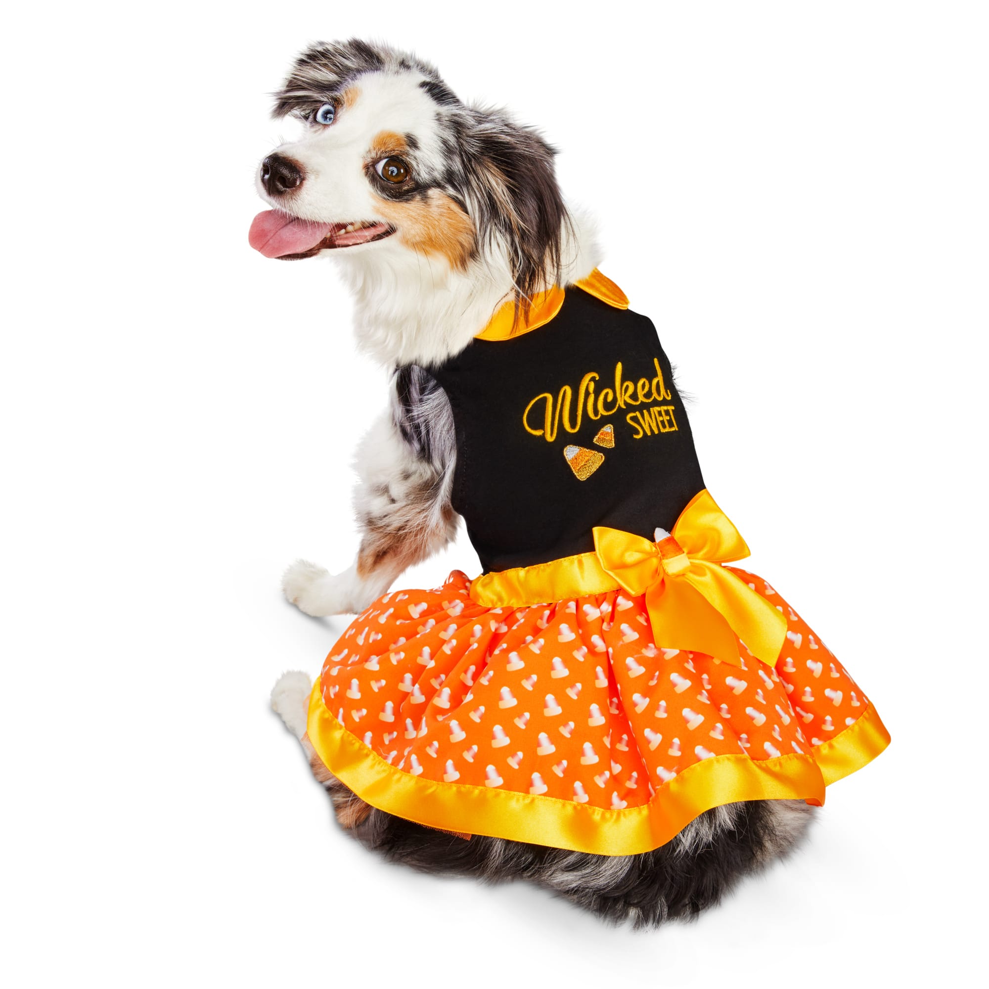 pet dog dress