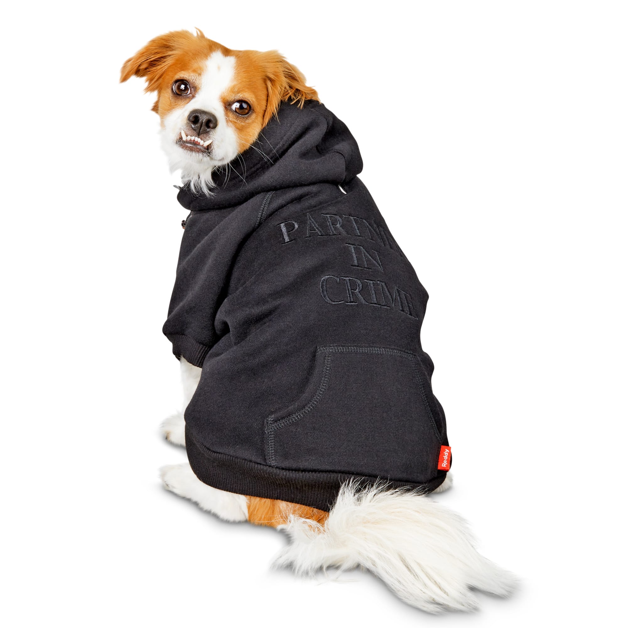 dog hoodie