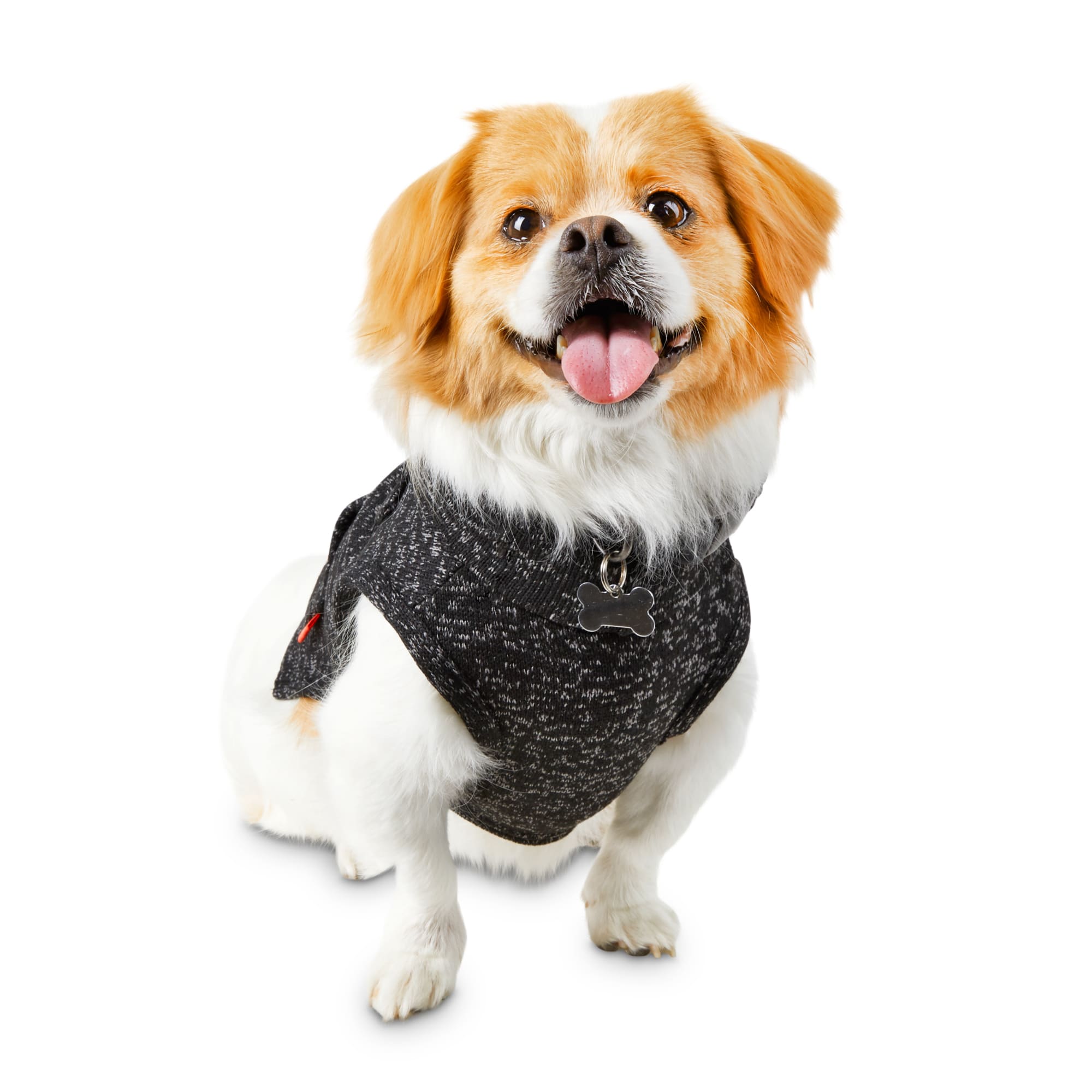 petco sweater