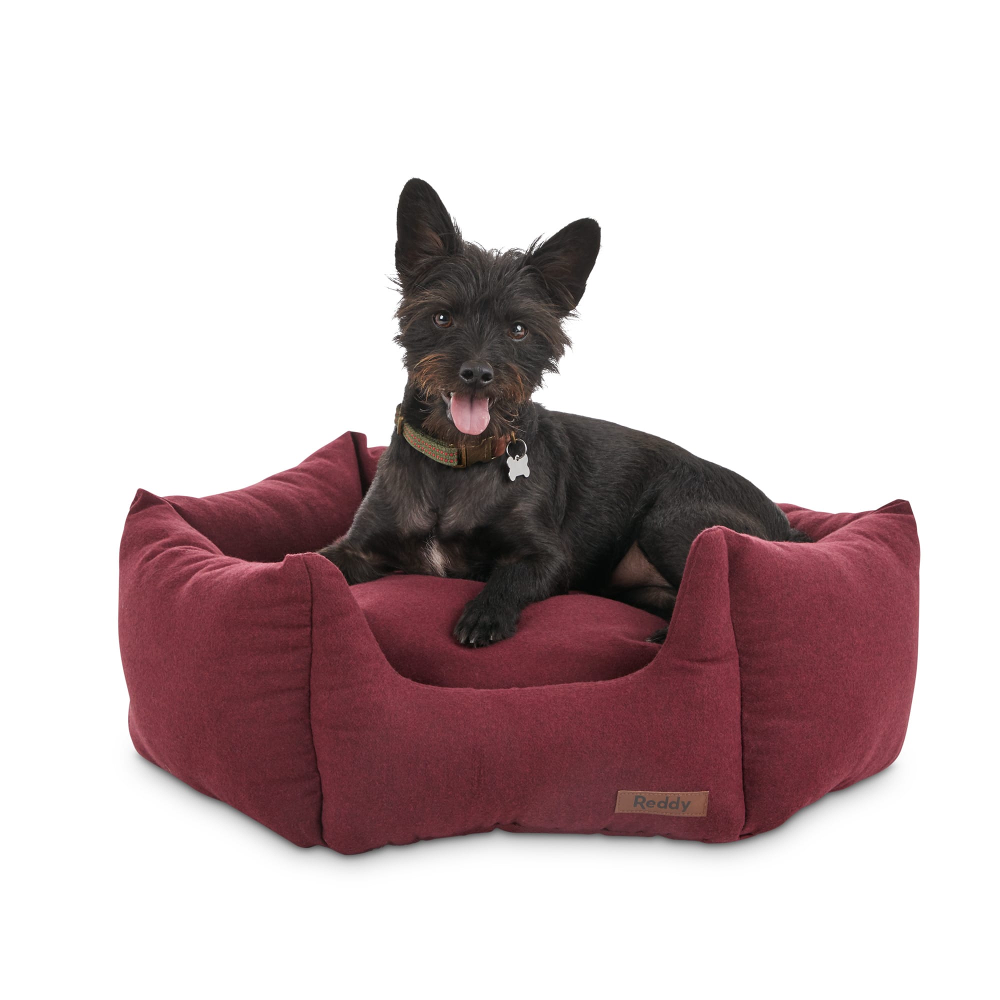 dog futon bed