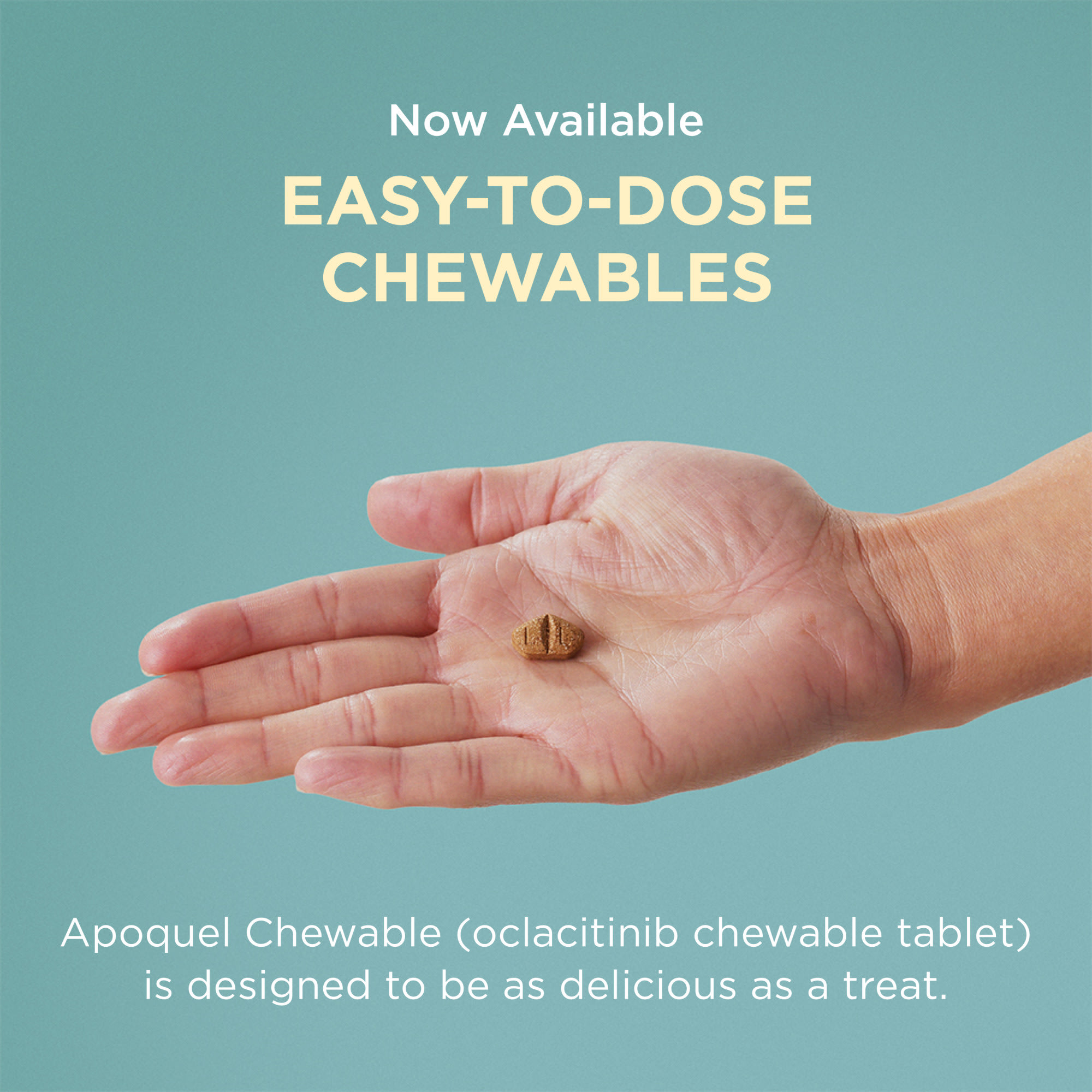 Apoquel 16 Mg 30 Tablets Petco Apoquel For Dogs Apoquel Dog Allergy Medicine