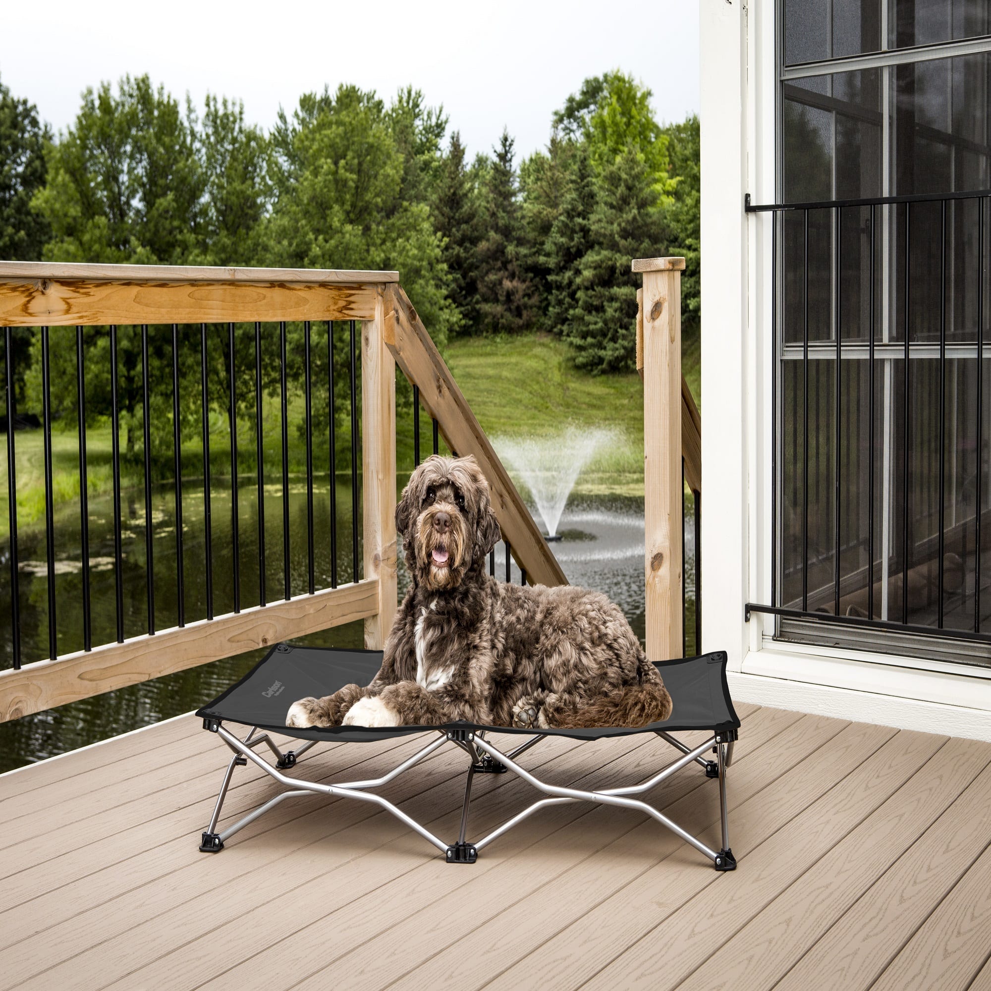 Petco raised dog bed best sale