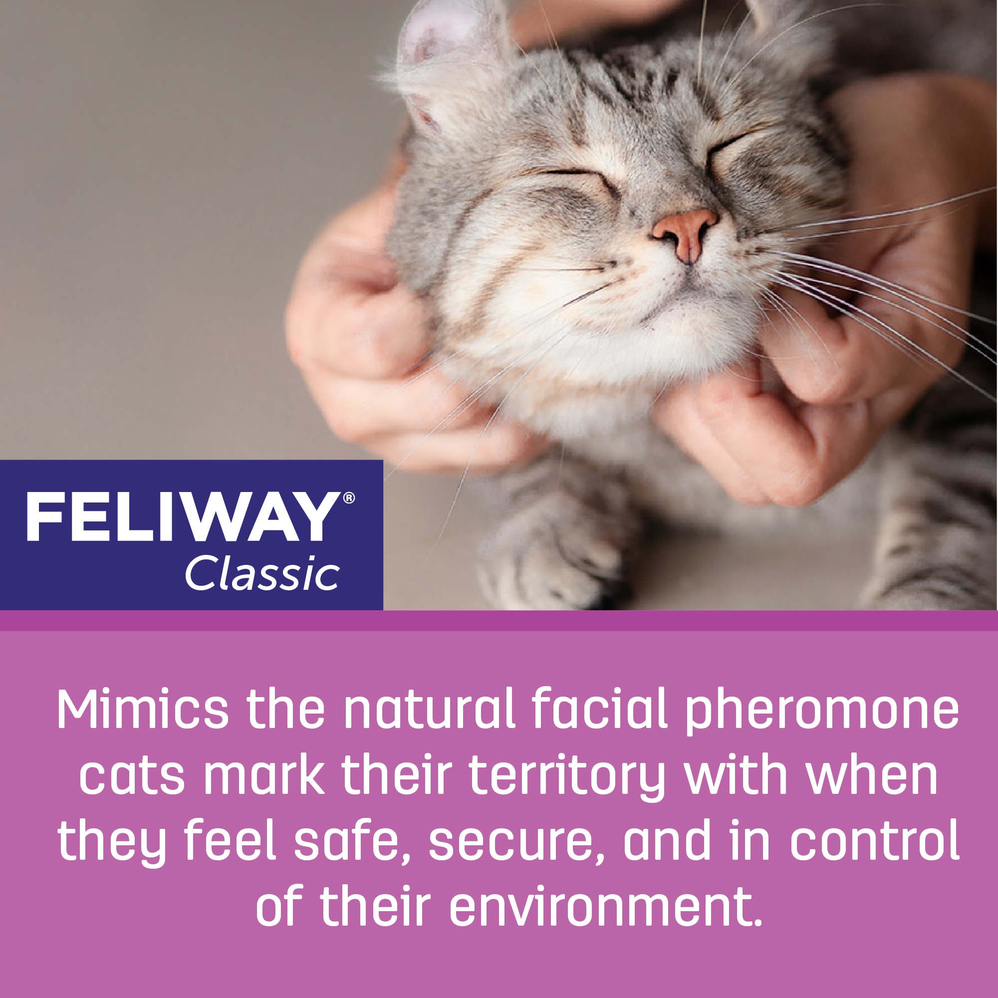 Feliway Classic Pheromone Travel Spray l Calming Spray For Cats