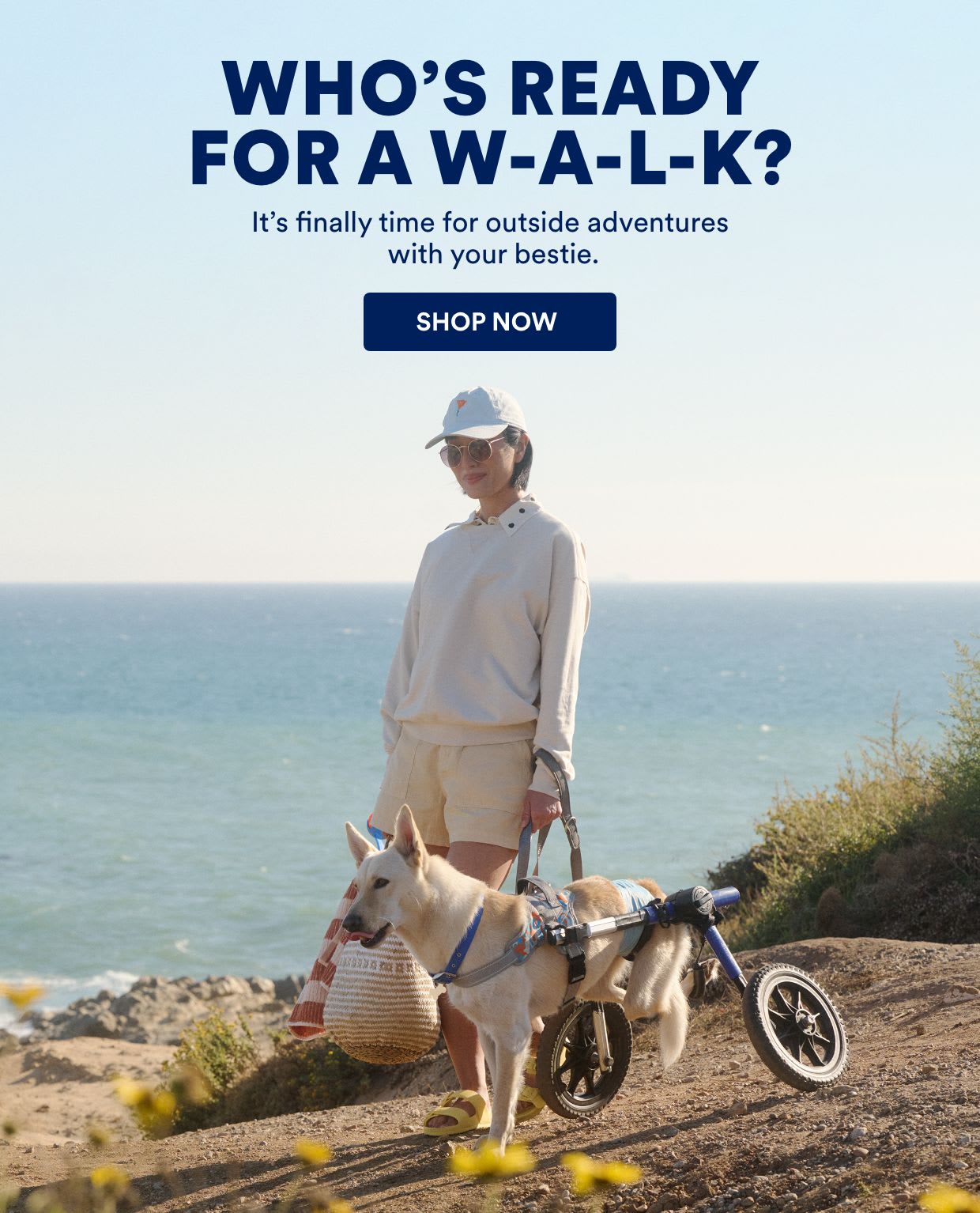 Who's ready for a walk? It's finally time for outside adventures with your bestie. Shop now!