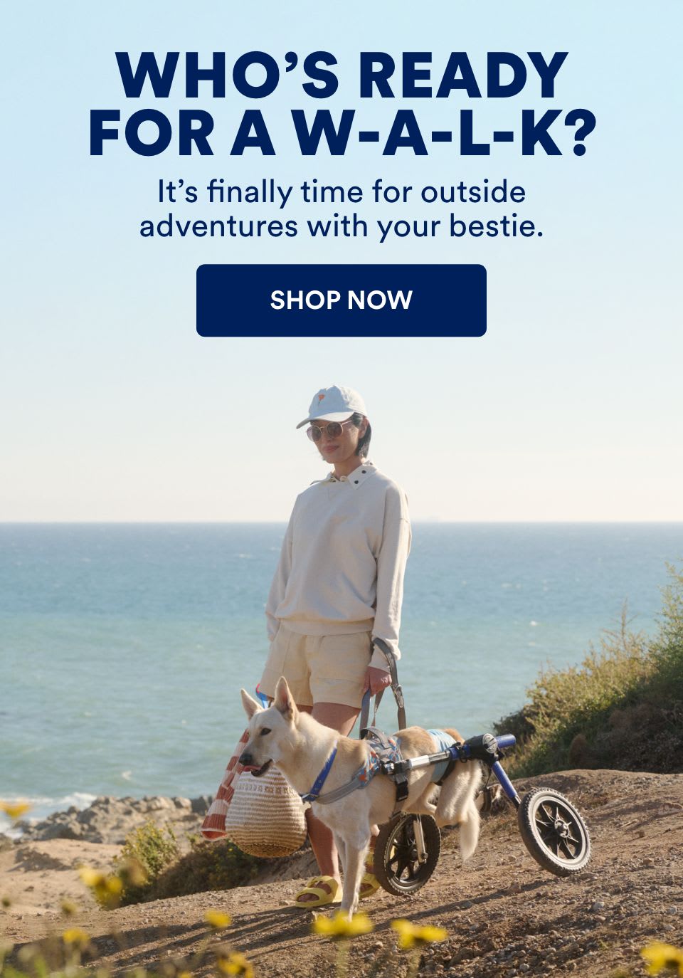 Who's ready for a walk? It's finally time for outside adventures with your bestie. Shop now!