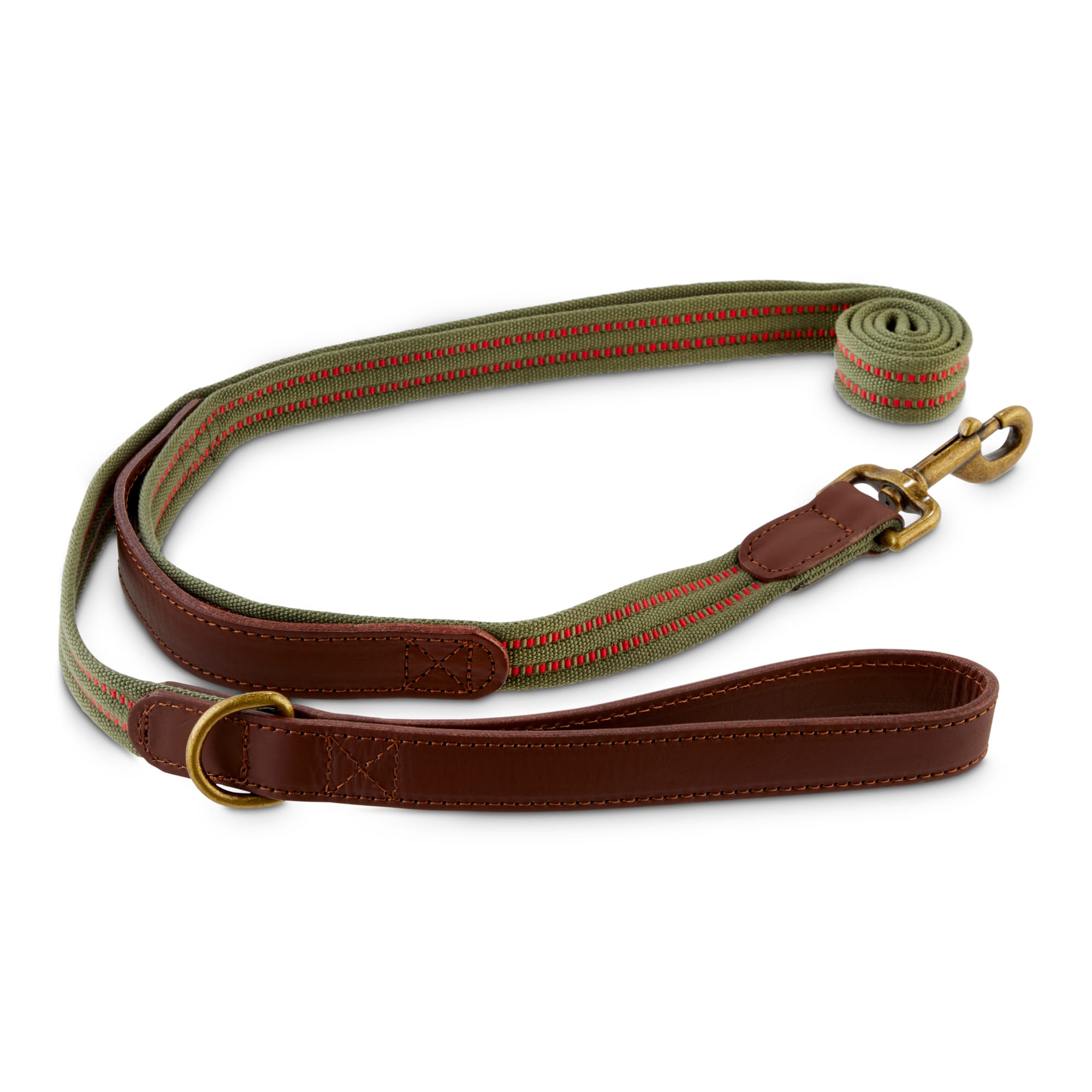 nylon dog leash