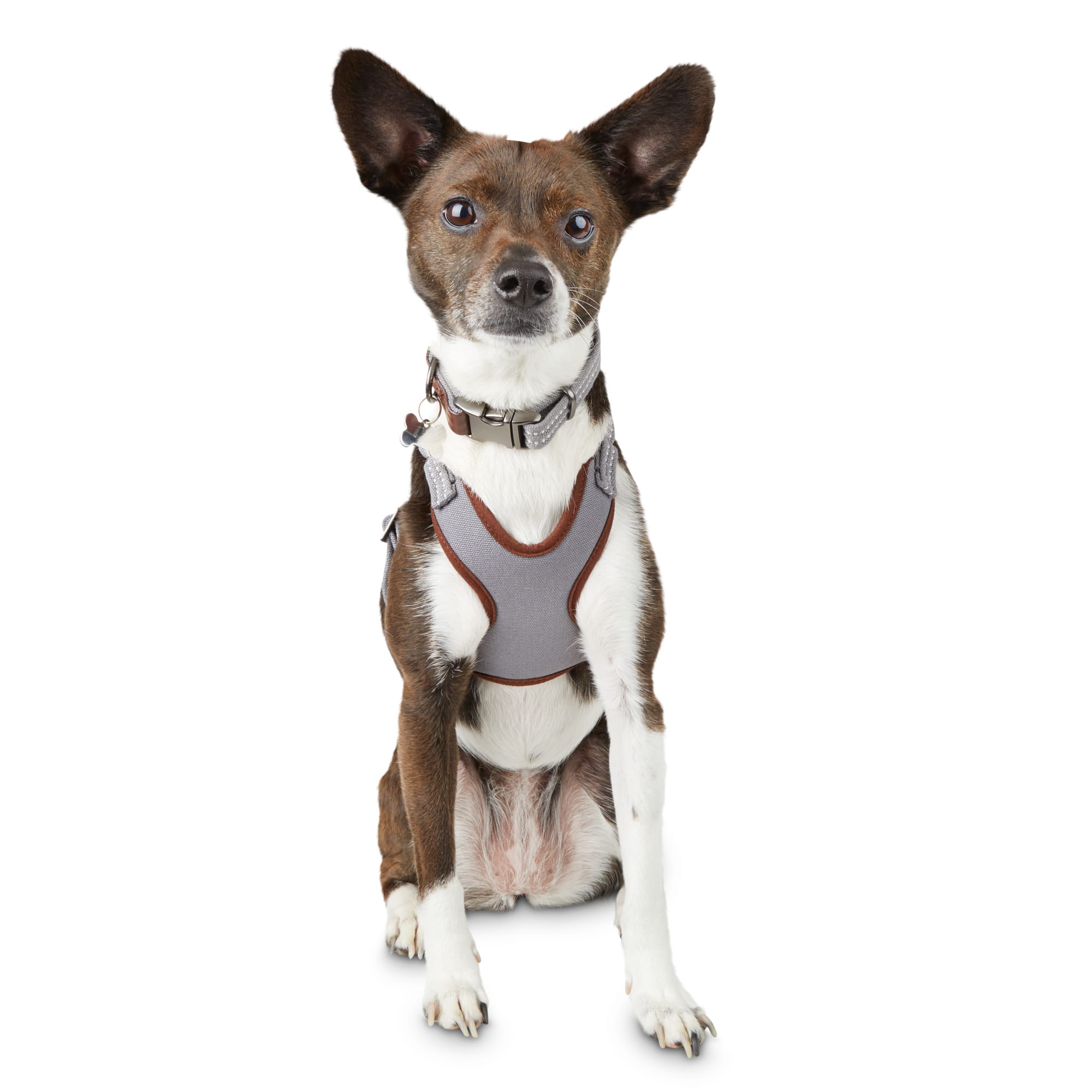 pup tech harness