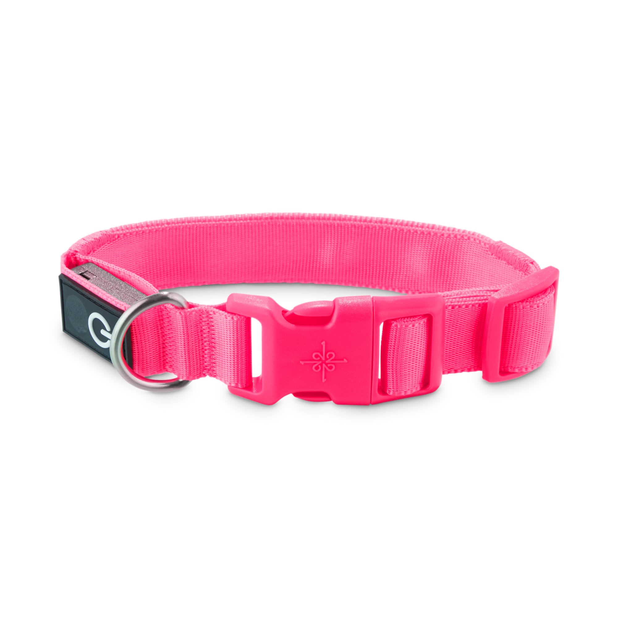 small pink dog collar