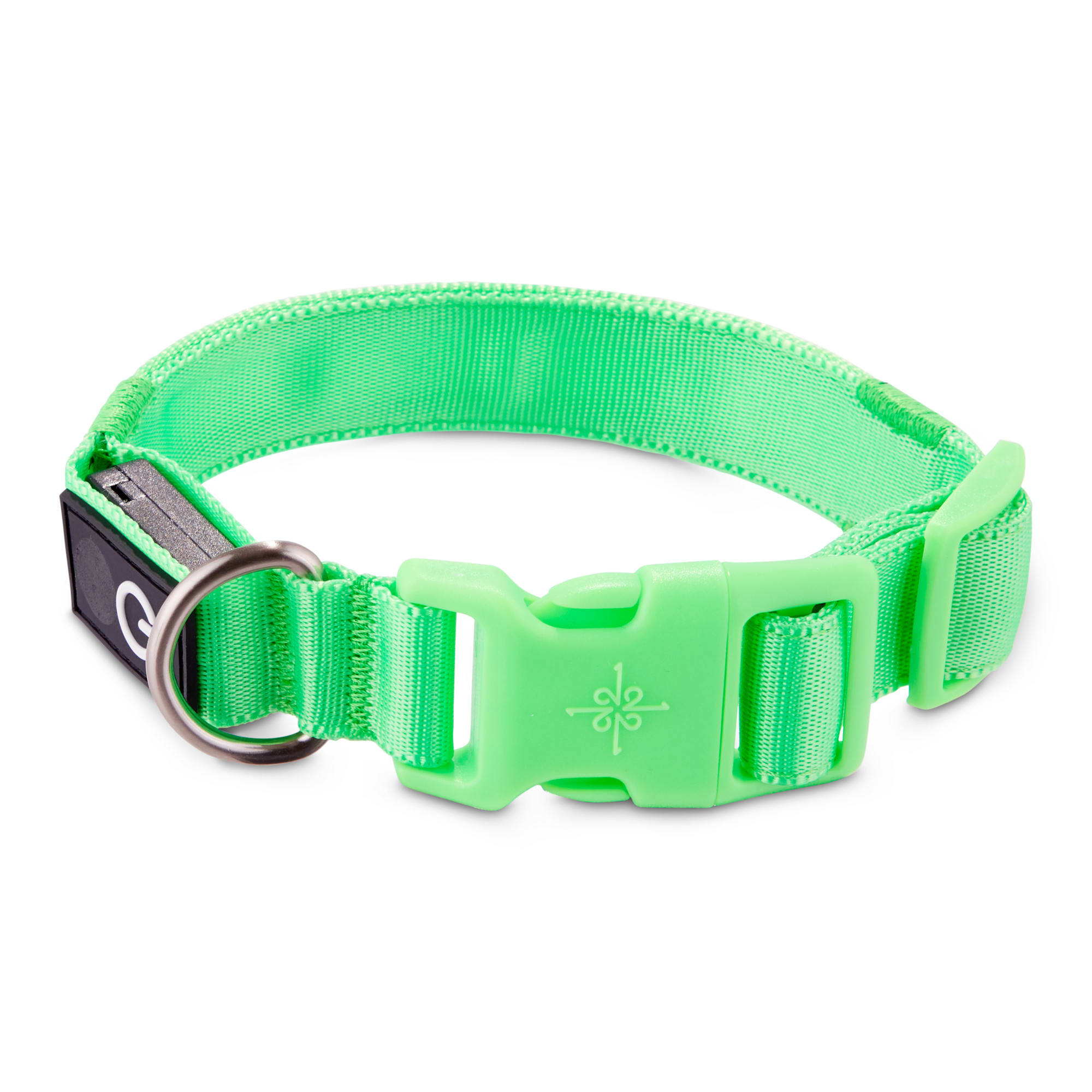 green dog collar and leash