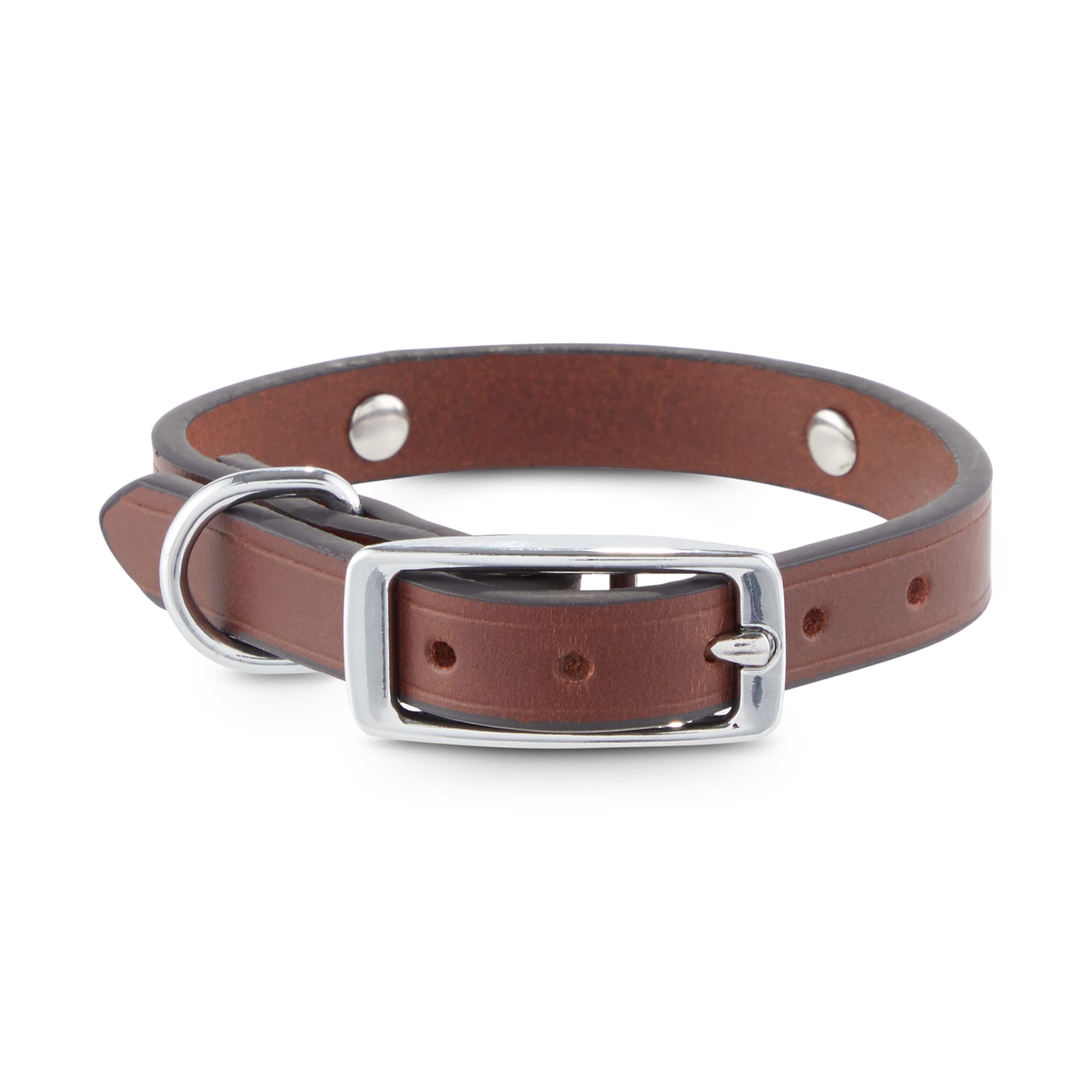 Bond Co. XS Small Studded Leather Dog Collar Brown from Petco