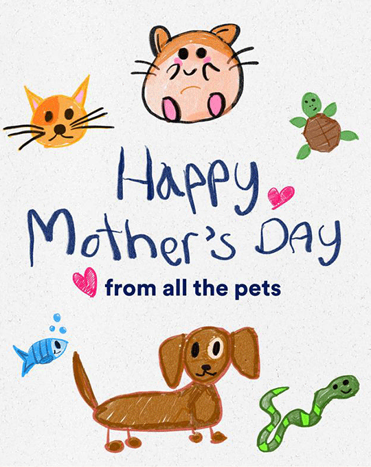 Happy Mother's Day, from all the pets!