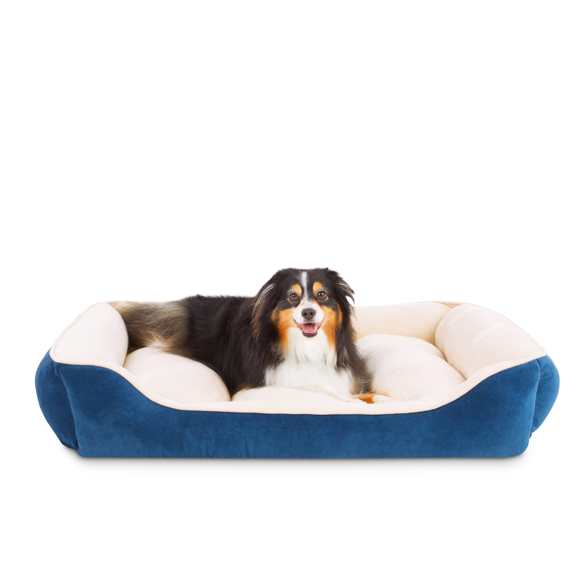 EveryYay Essentials Snooze Fest Blue Rectangle Dog Bed, 40