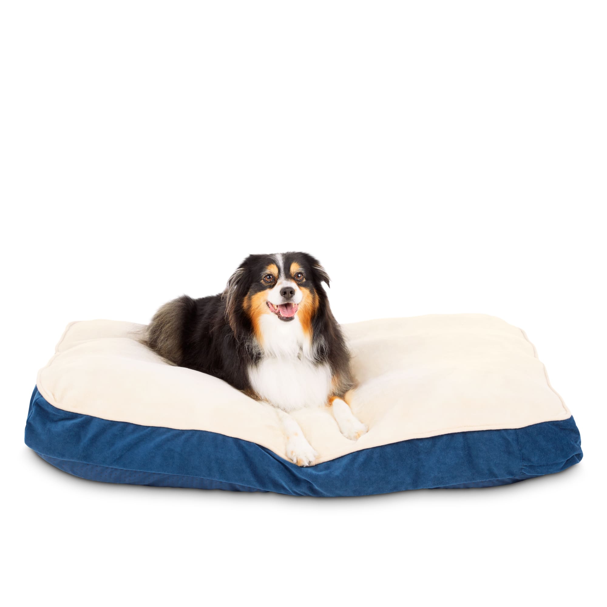 EveryYay Essentials Lounger Dog Bed, 40" L X 30" W X 3.5" H, Large