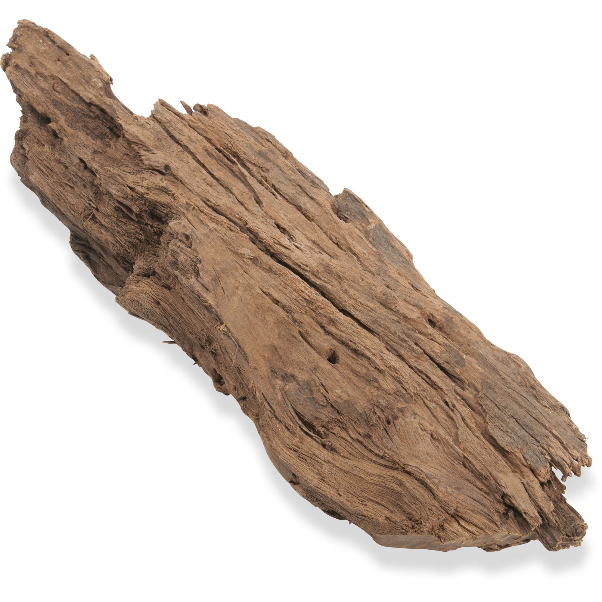 JBJ Malaysian Driftwood, Medium/Large Petco