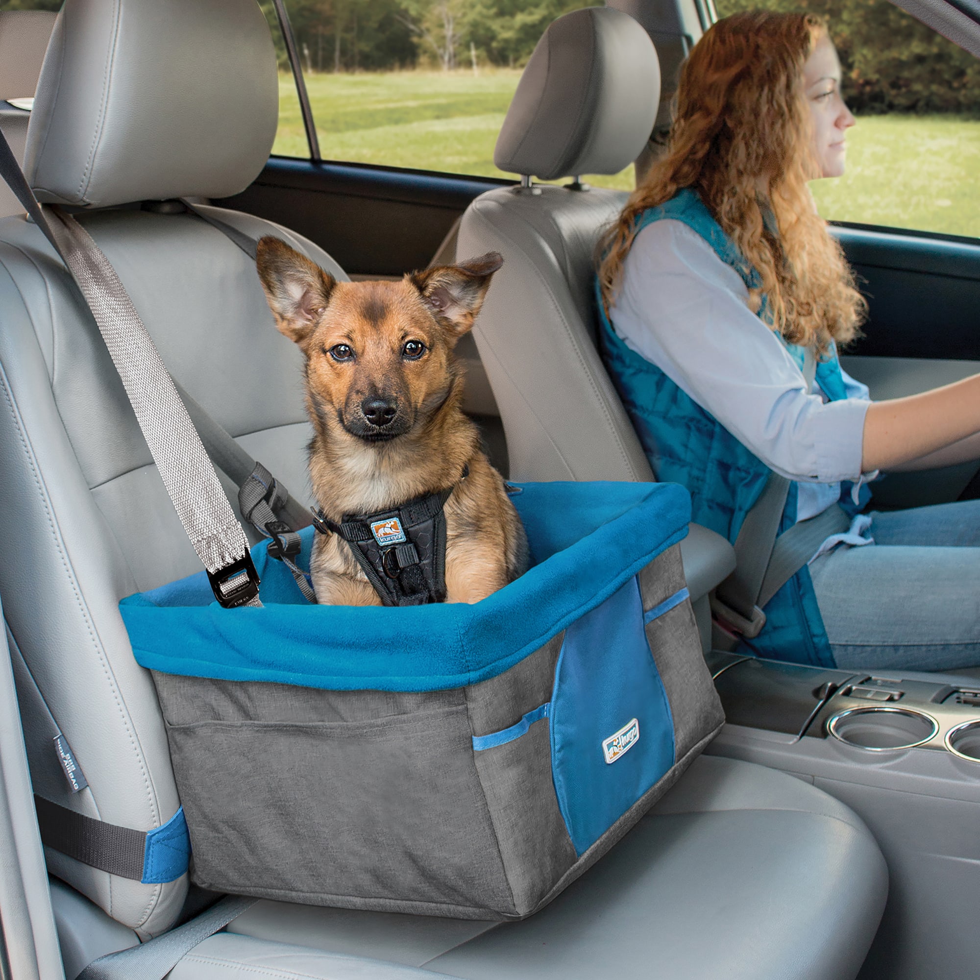 Featured image of post Dog Car Seat Petco