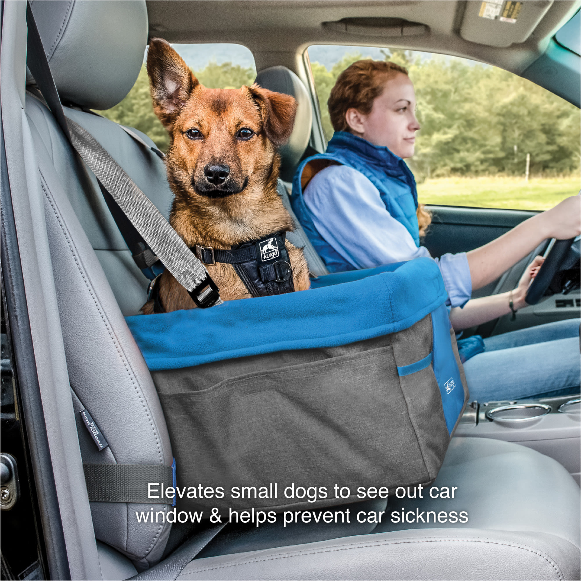 Petco 2025 booster seat