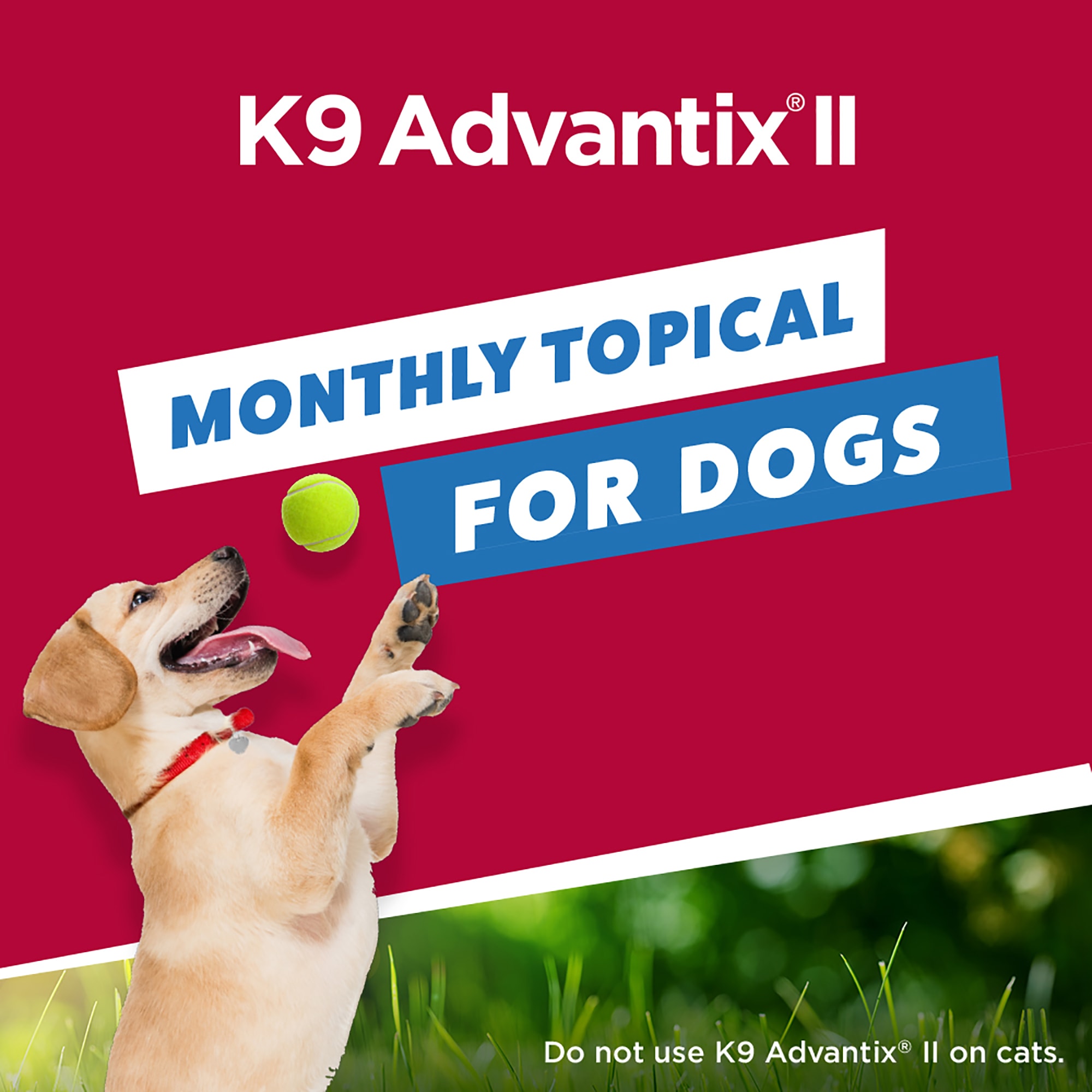 K9 advantage ii for small outlet dogs