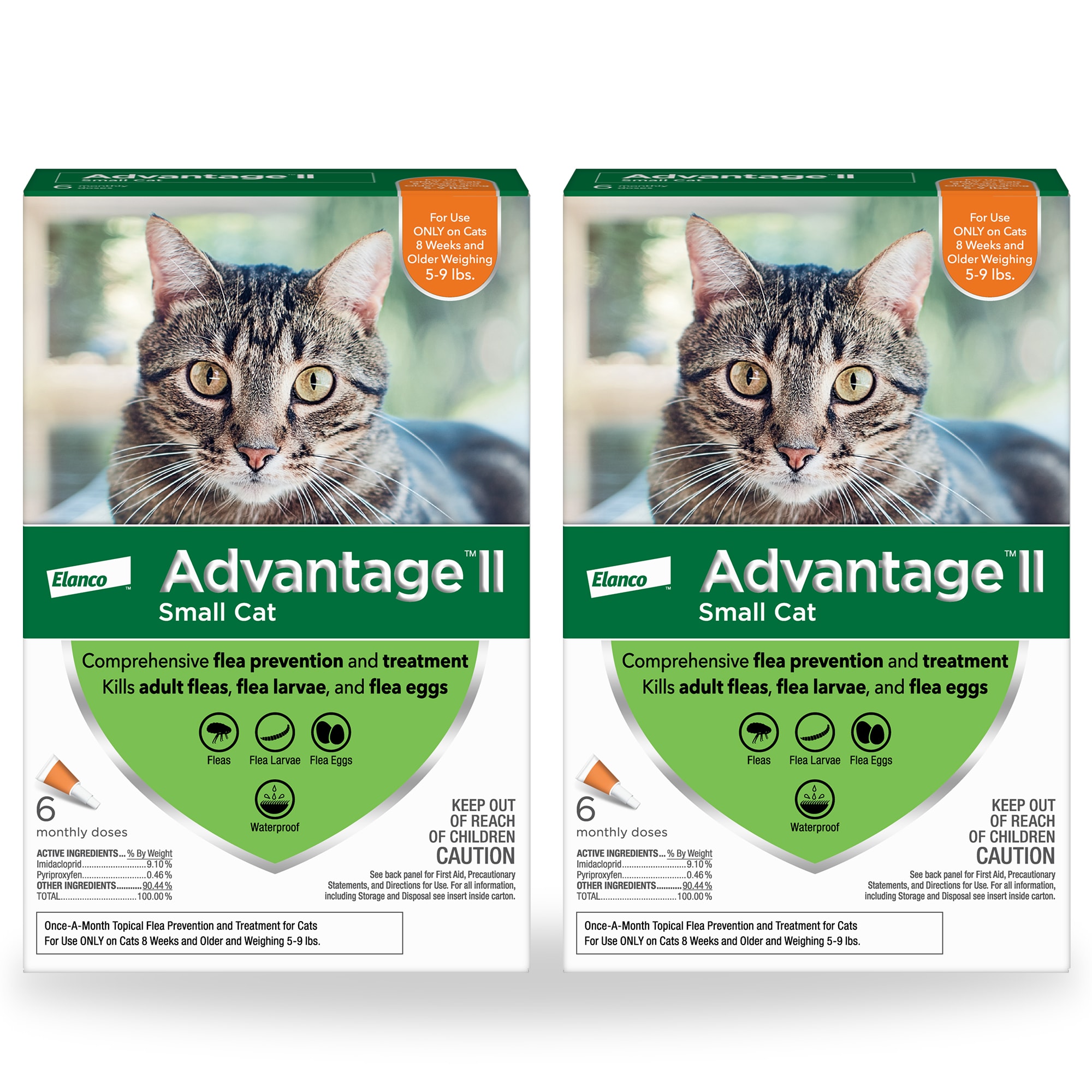 Best flea treatment for hotsell older cats