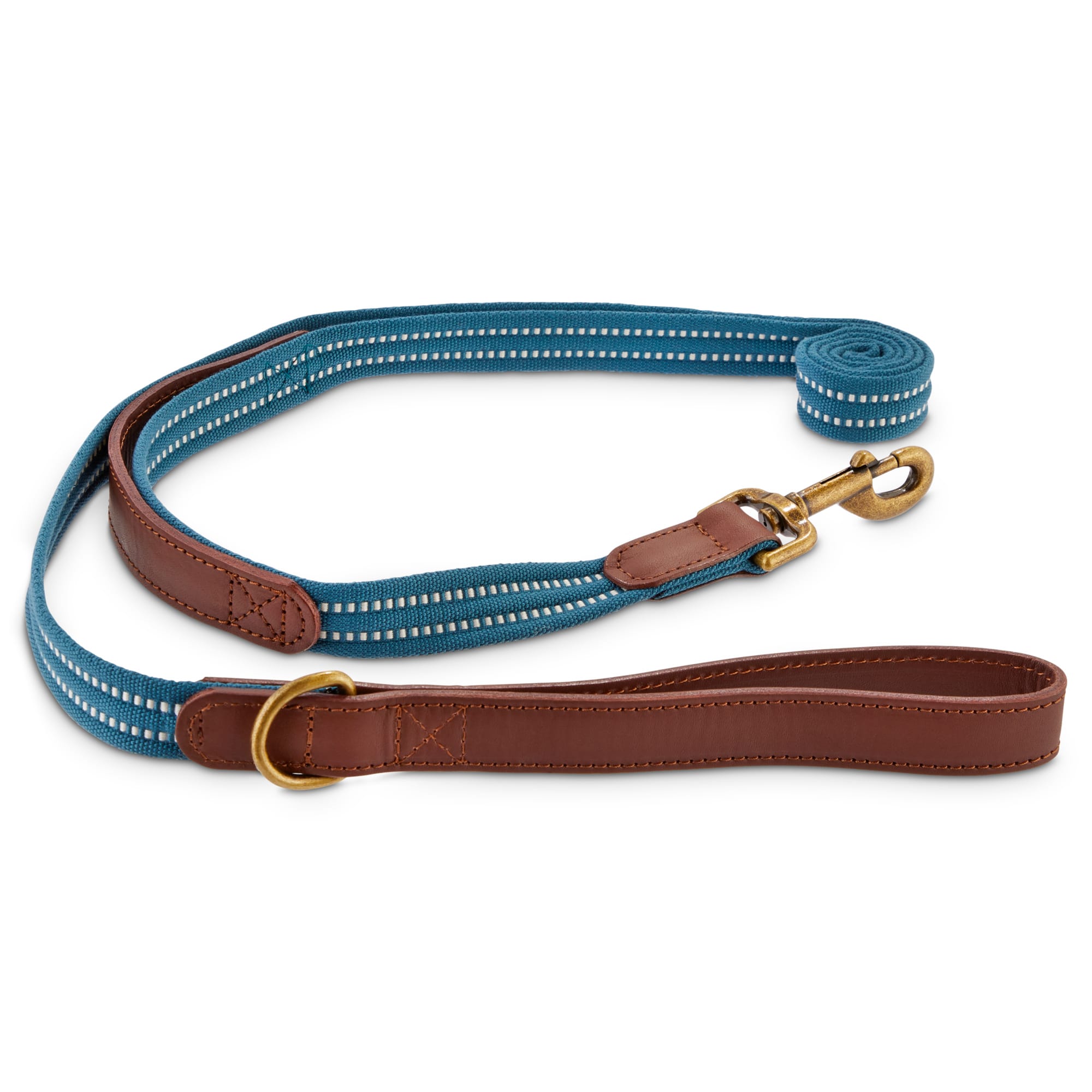 nylon dog collars and leashes