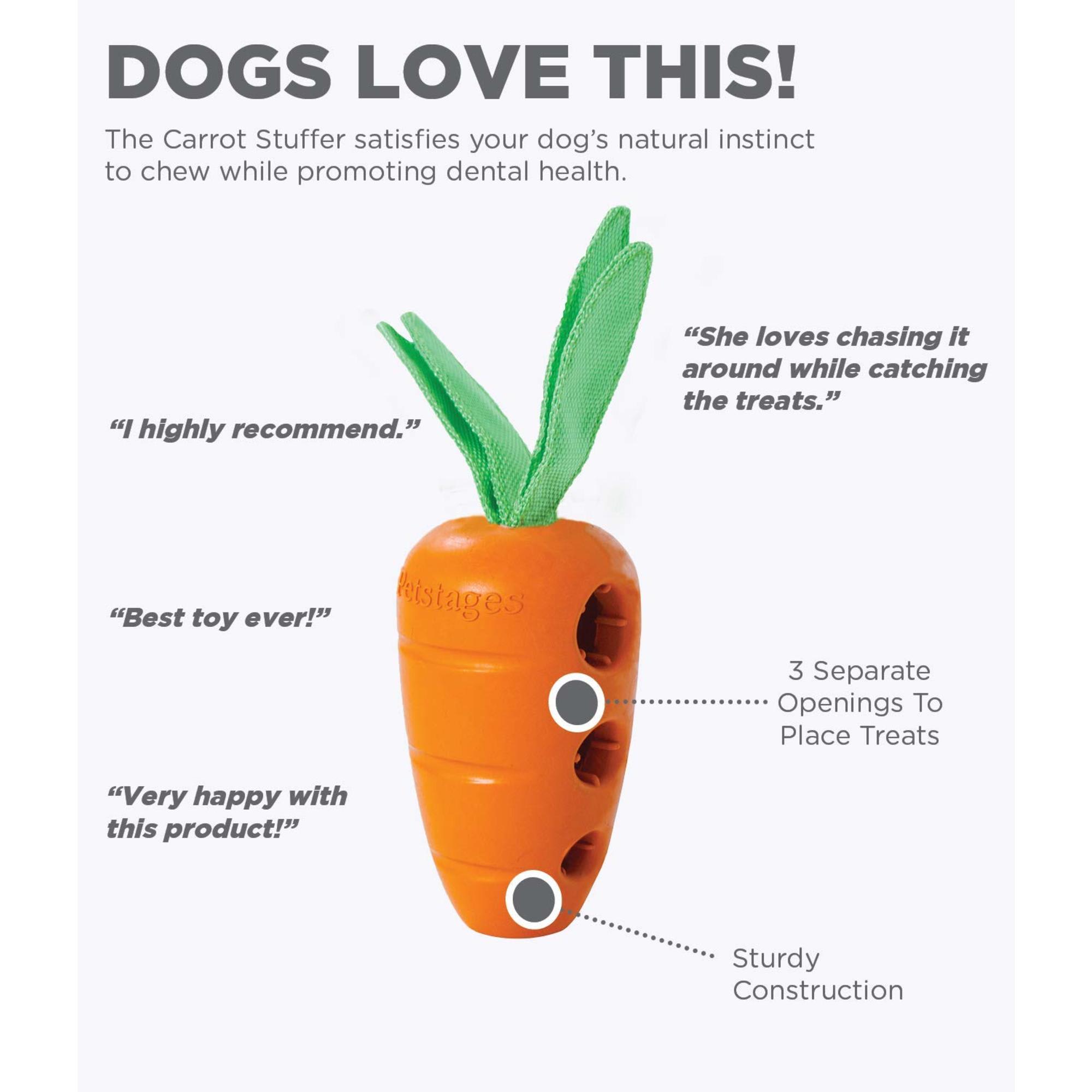 The Benefits of Carrots for Dogs - Shop LP