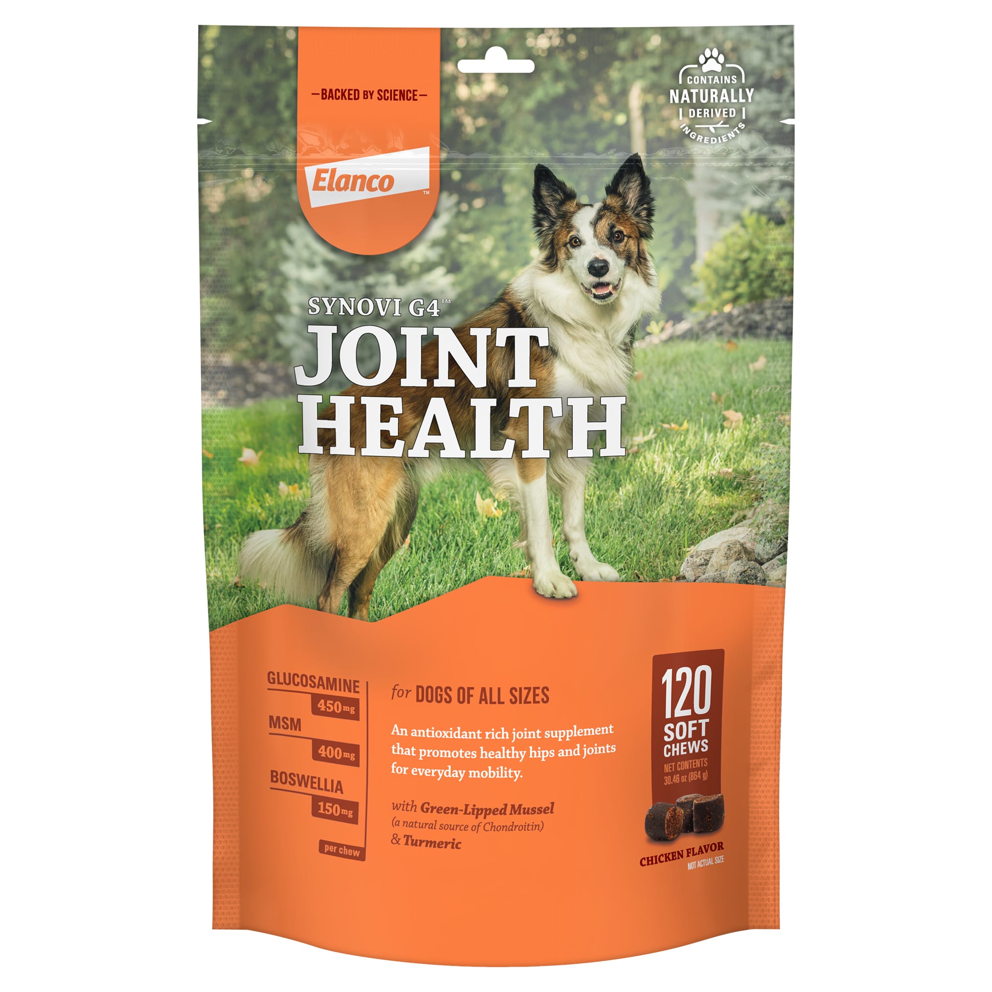 joint help for older dogs