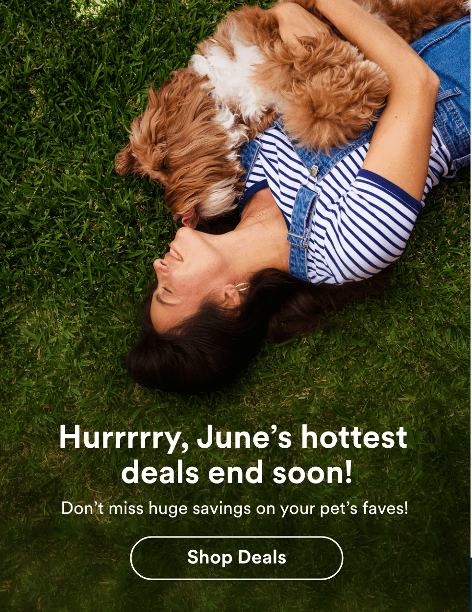Hurrrrry, June’s hottest deals end soon! Don’t miss huge savings on your pet’s faves! Shop Deals