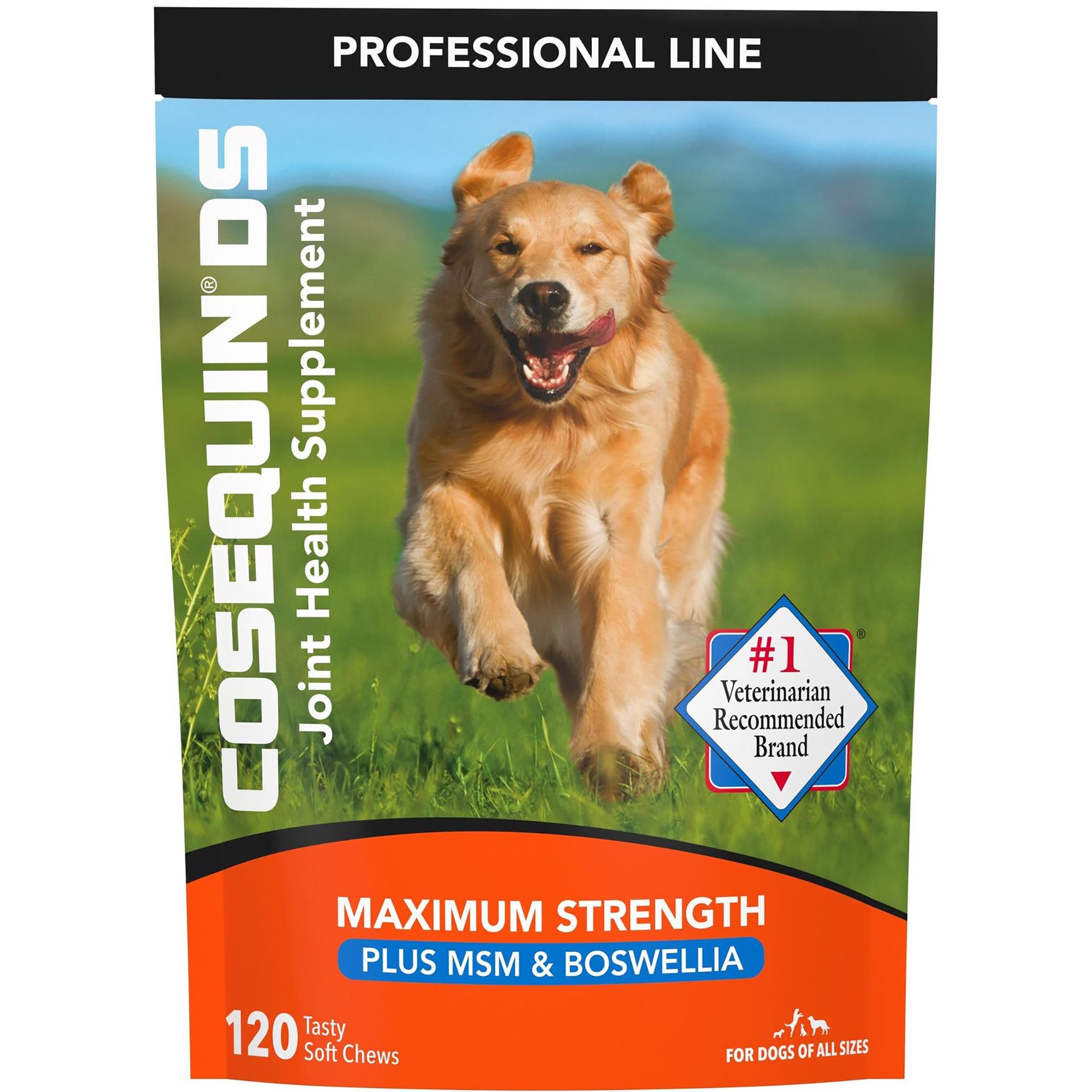 cosequin ds plus msm for dogs