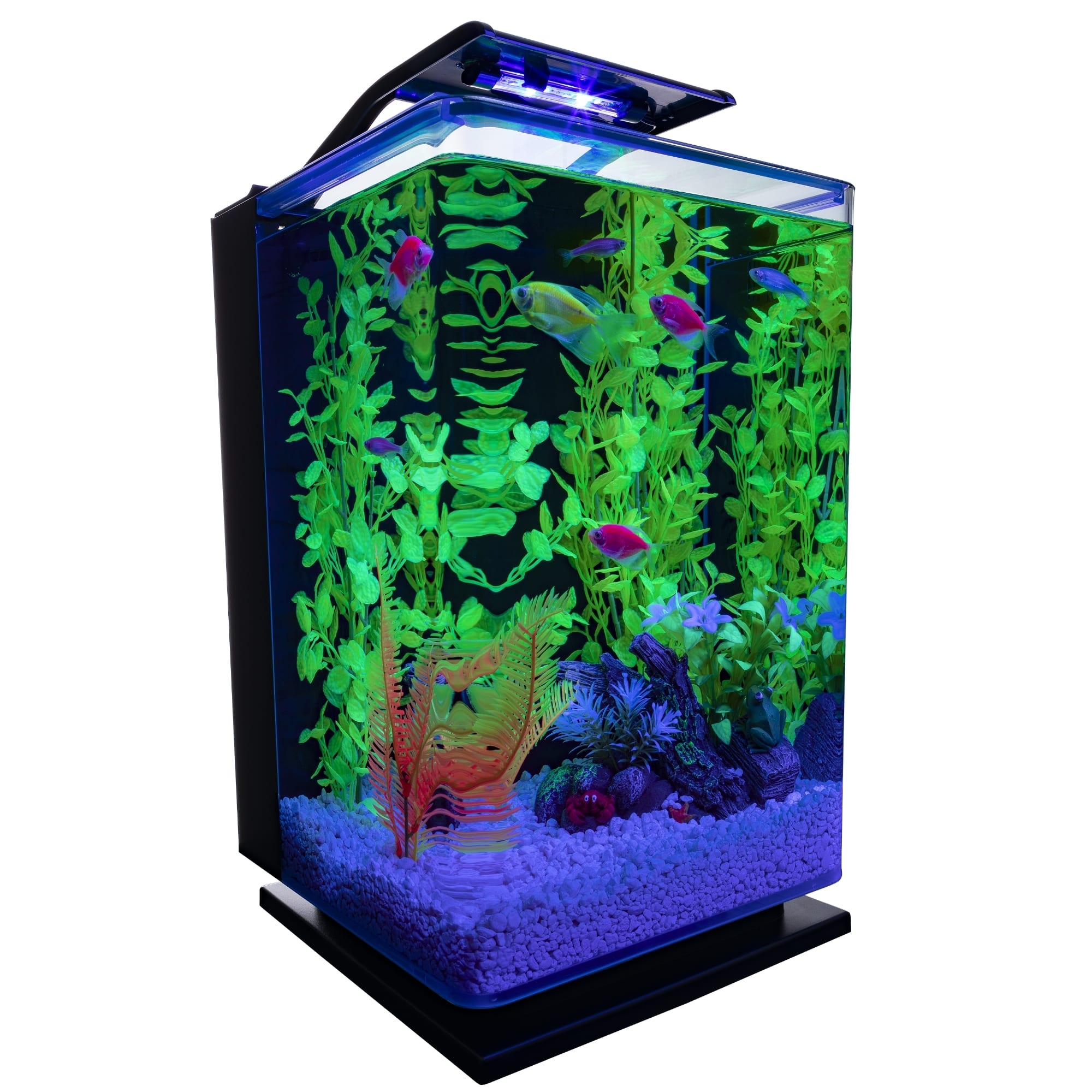 UPC 046798782384 product image for GloFish Hinged Cycle Light and Hidden Filtration Aquarium Kit 5 Gallons, 11