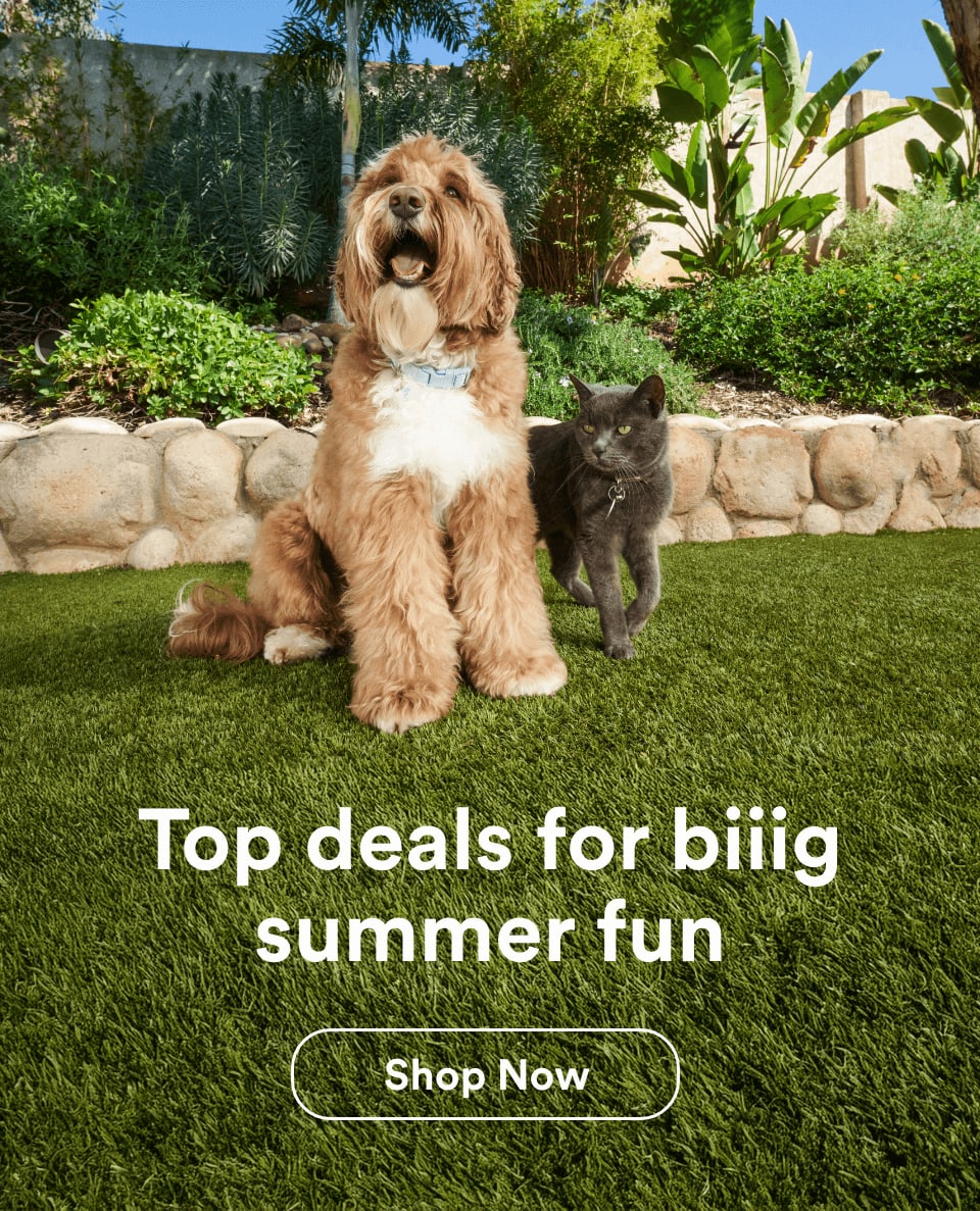 Top deals for biiig summer fun. Shop Now