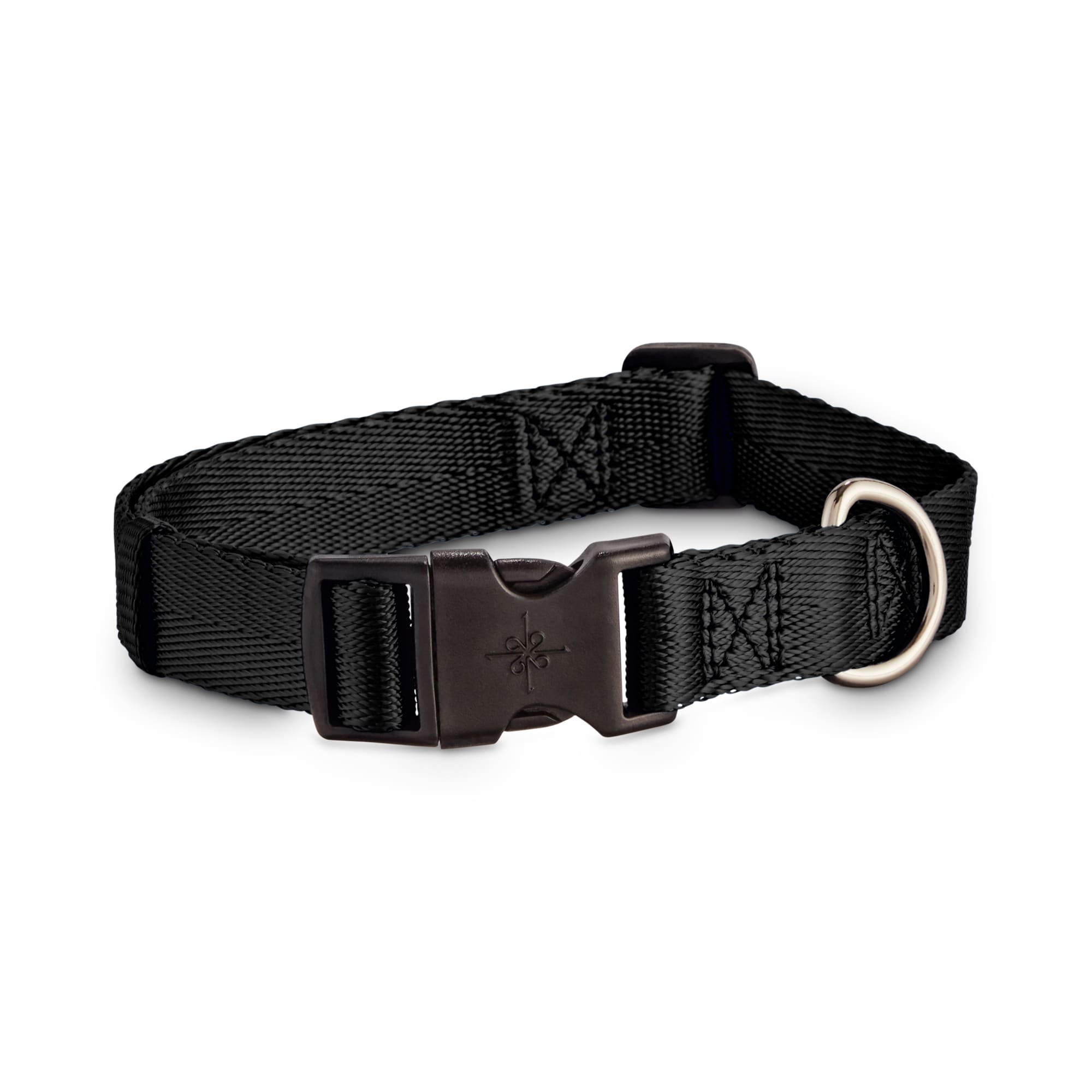 nylon dog collar