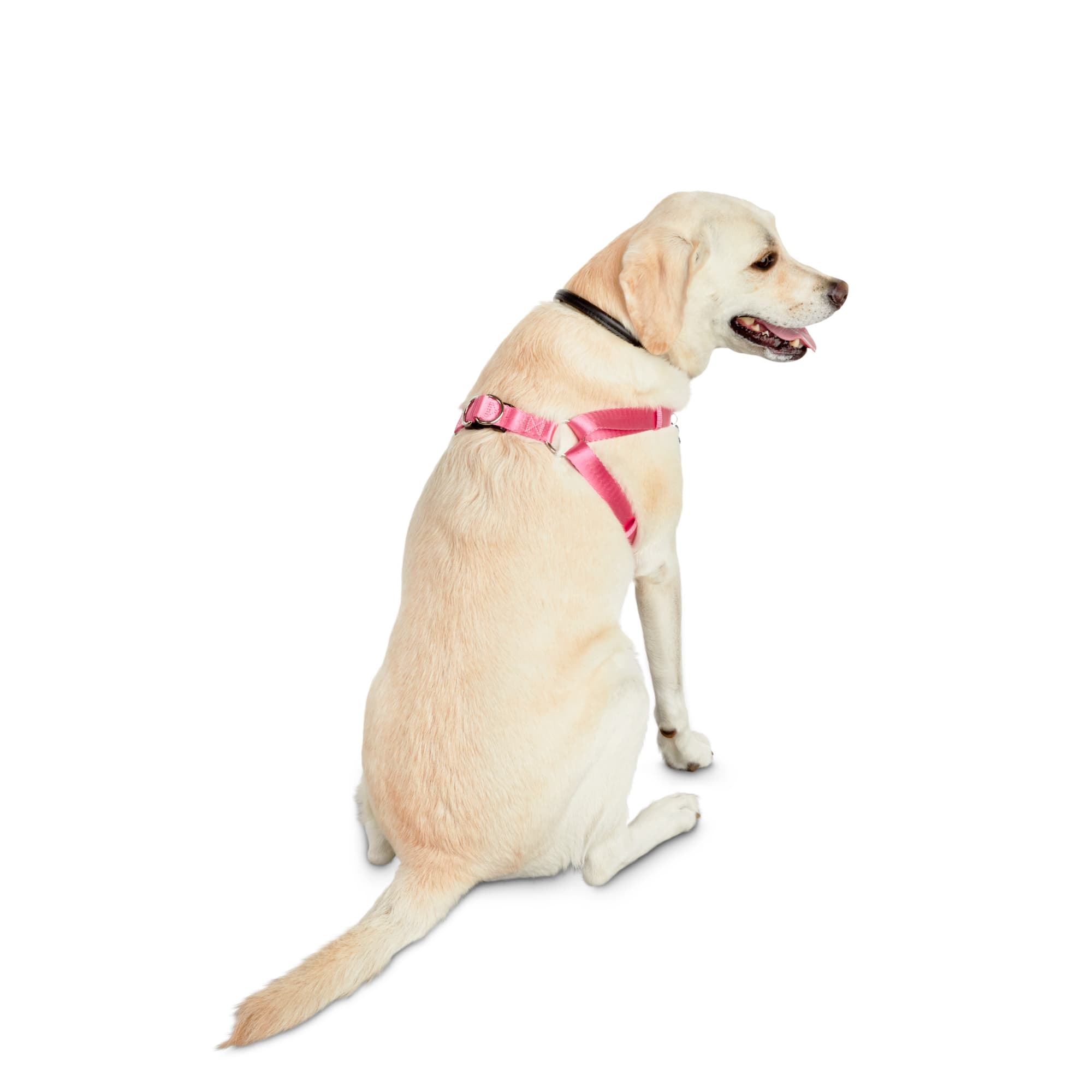 Good2Go Easy Step In Pink Comfort Dog Harness Large X Large