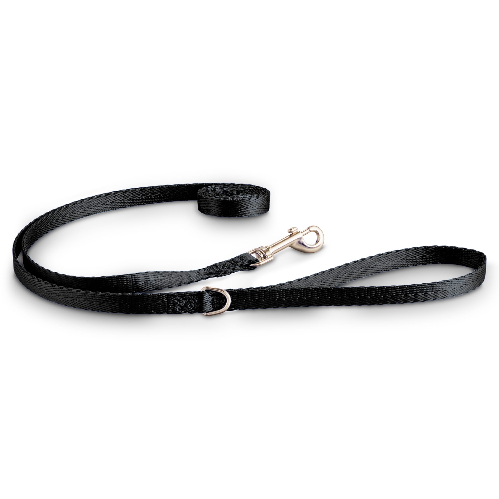 nylon dog leash