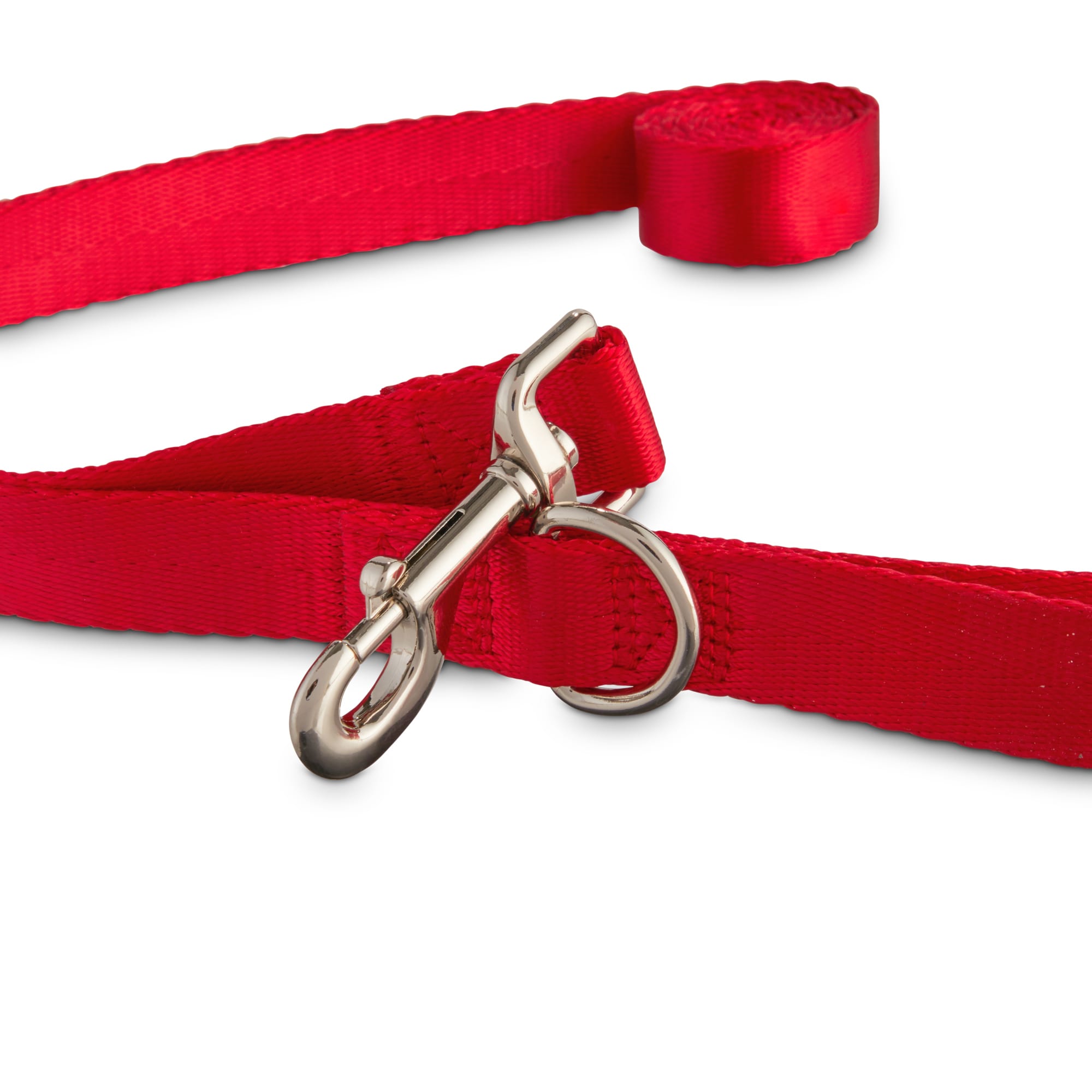 nylon dog leash