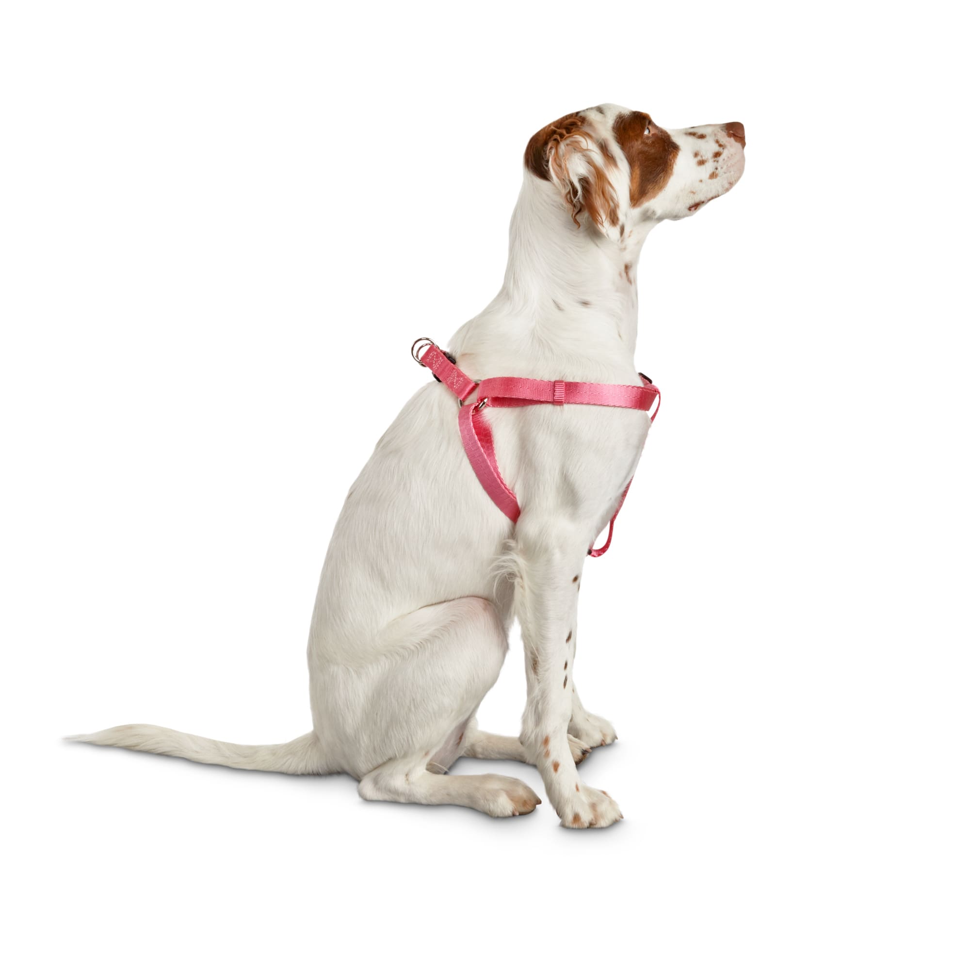 Good2go Reflective Harness Instructions