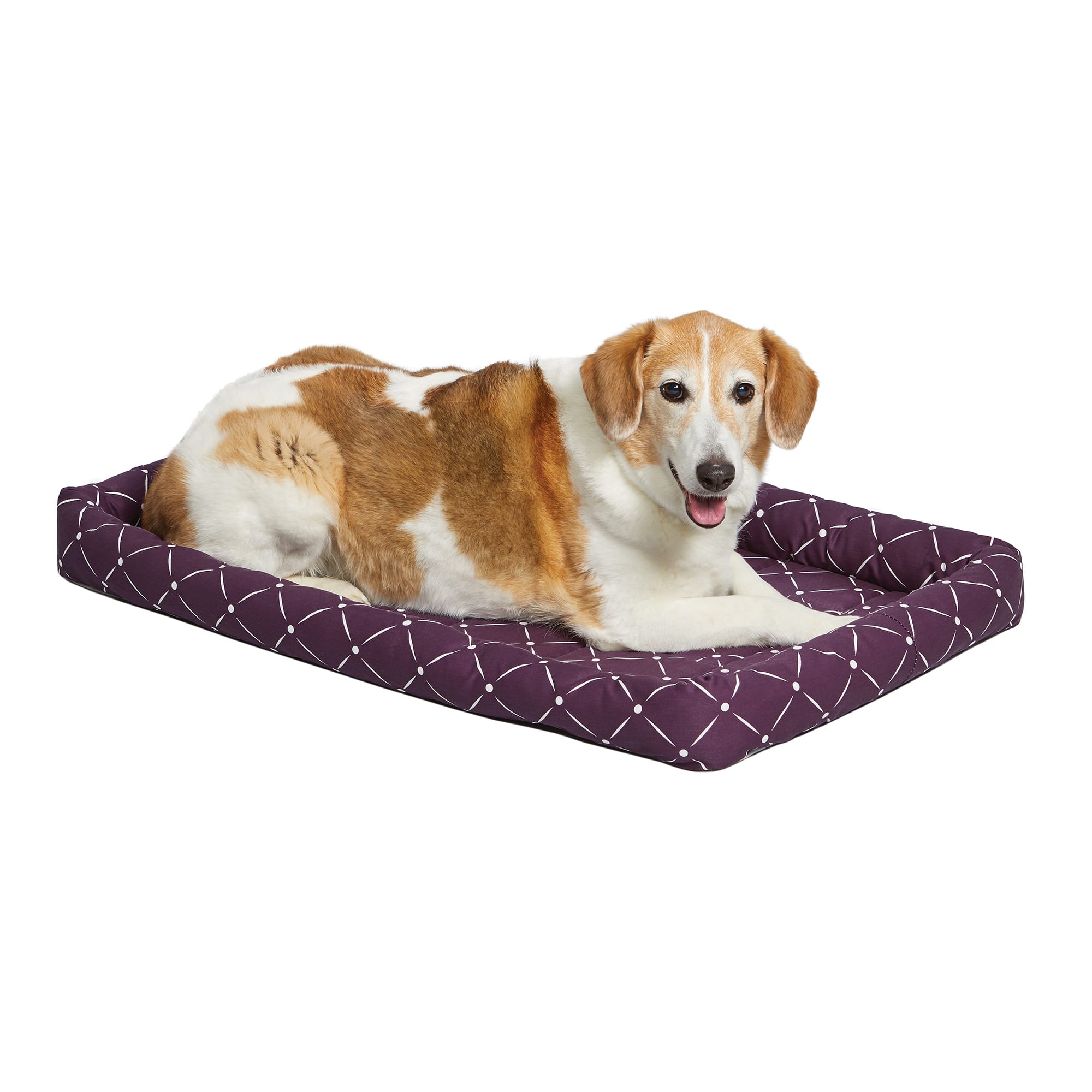 midwest-quiet-time-couture-ashton-purple-pet-bed-35-75-l-x-21-w-petco