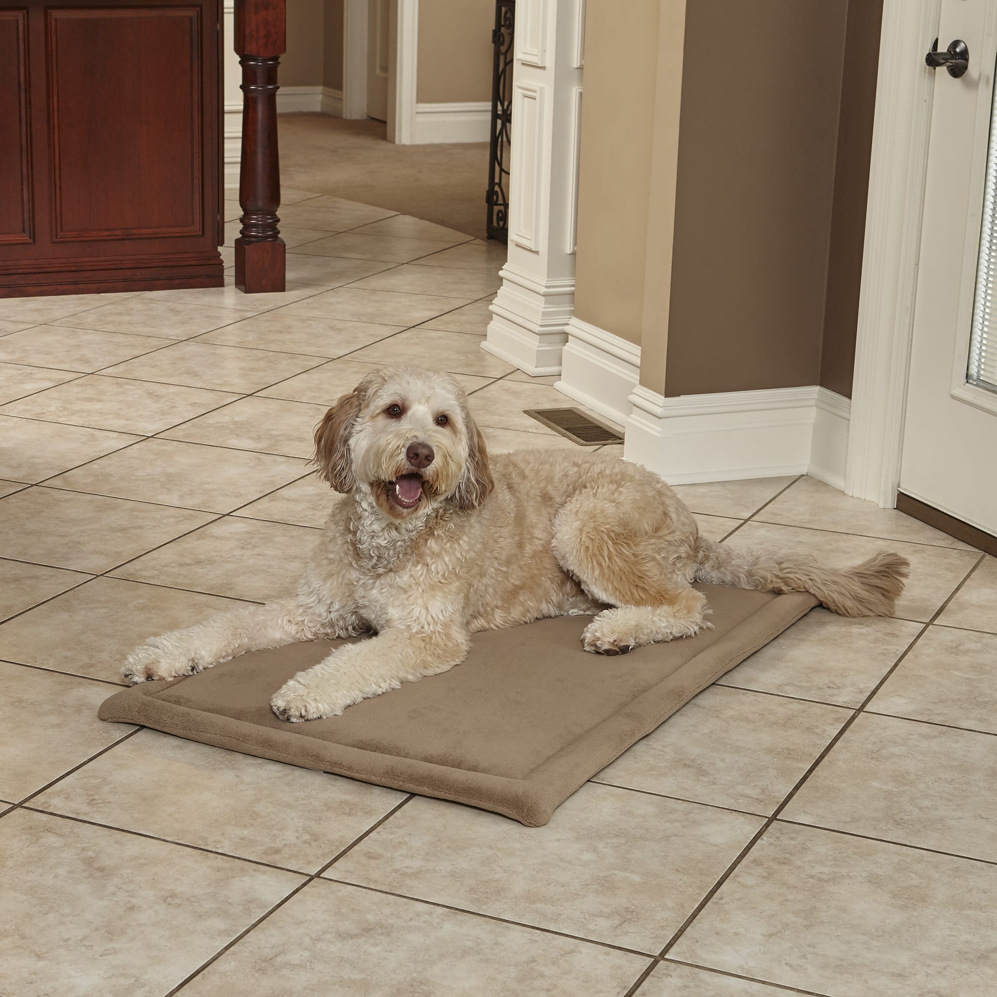 Midwest Quiet Time Deluxe Micro Terry Taupe Dog Bed, 52" L X 34" W Petco