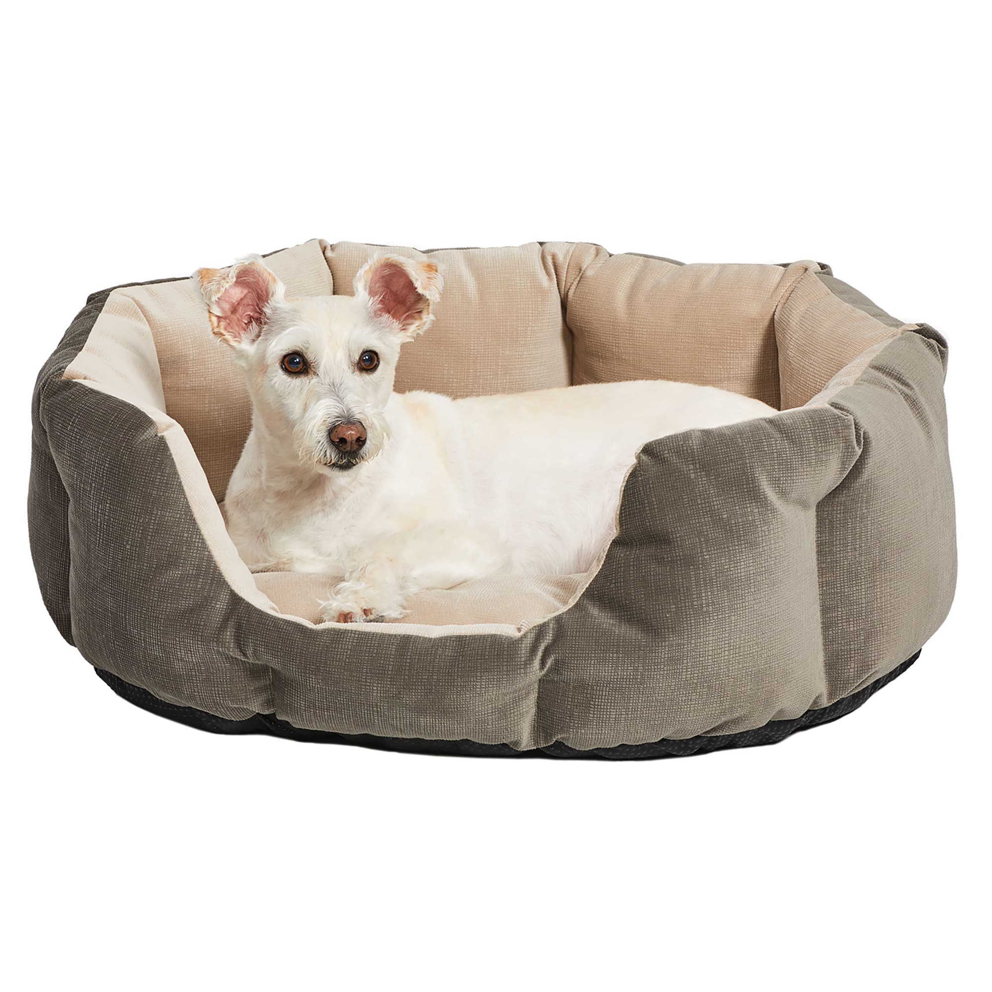 Midwest Quiet Time Deluxe Tulip Nesting Gray Dog Bed, 22" L X 13" W Petco