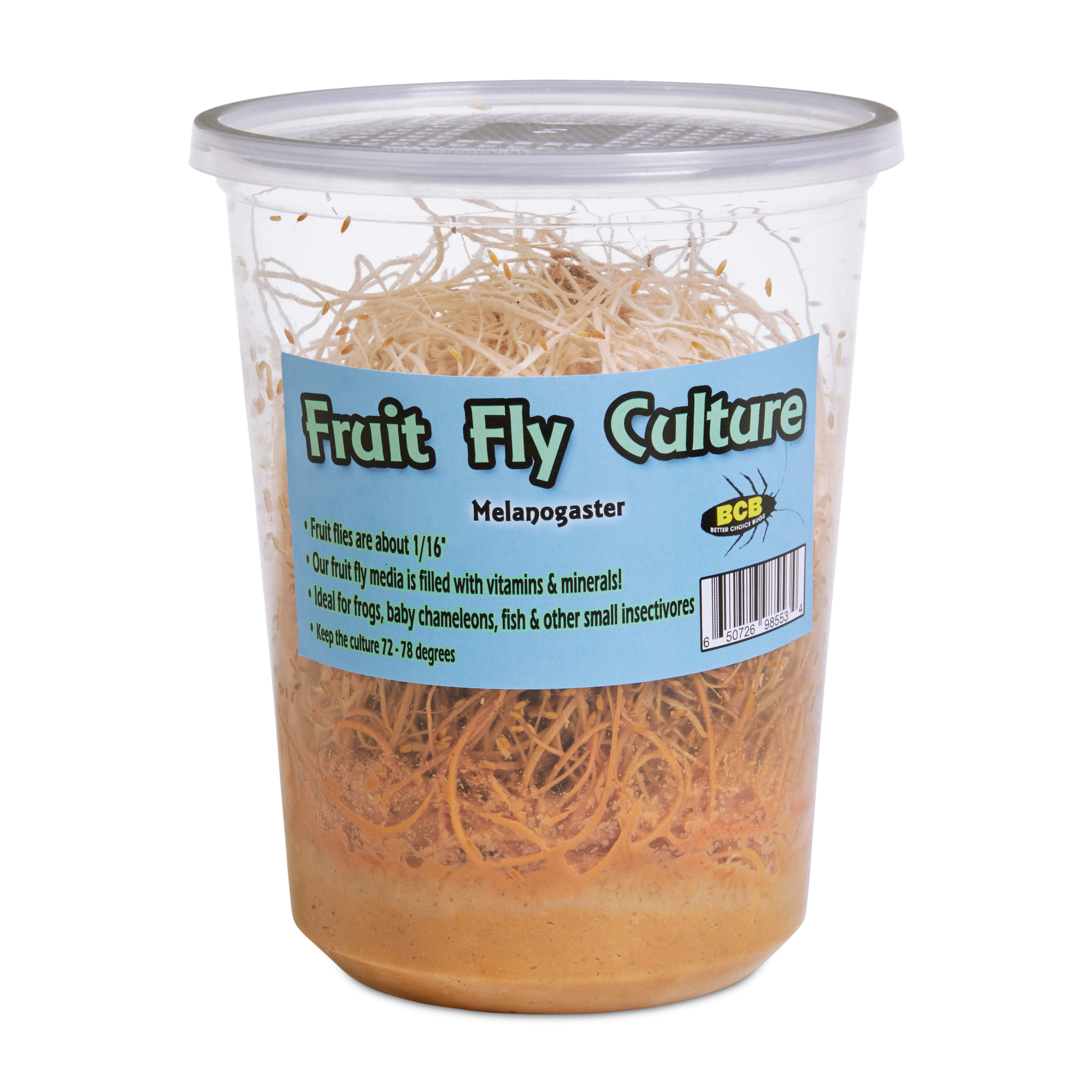 Imagitarium Melanogaster Fruit Fly Culture Pack for Reptiles
