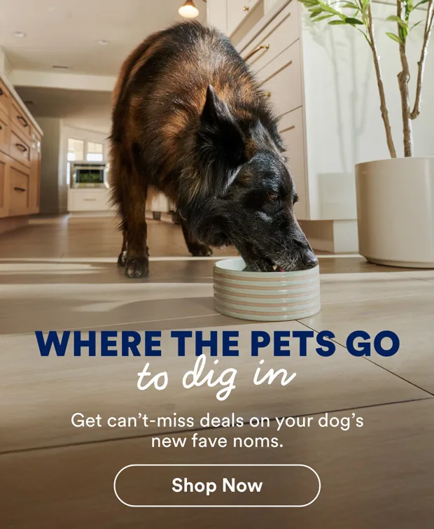 Where the pets go for fun in-store events.