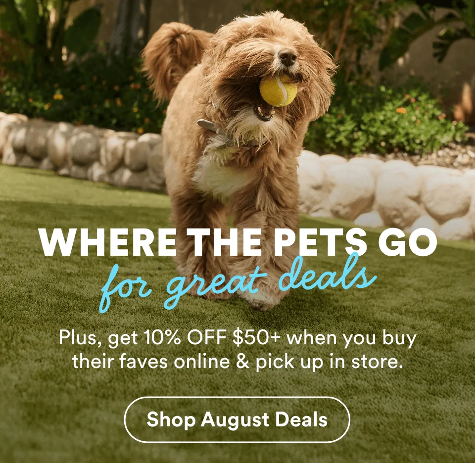 WHERE THE PETS GO for great deals. Plus, get 10% OFF $50+ when you buy their faves online & pick up in store. Shop August Deals
