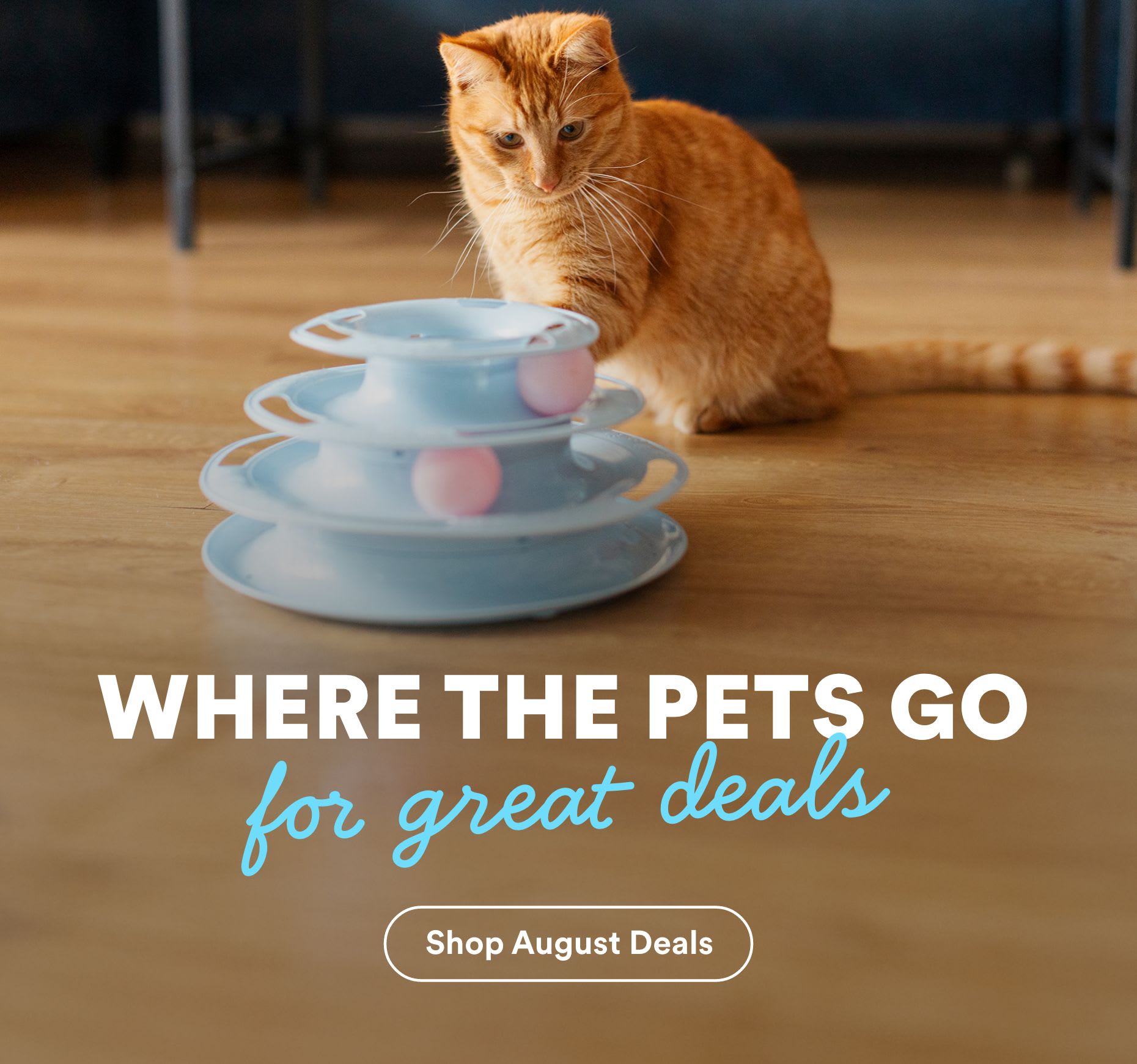 Where the pets go for great deals. Shop August Deals.