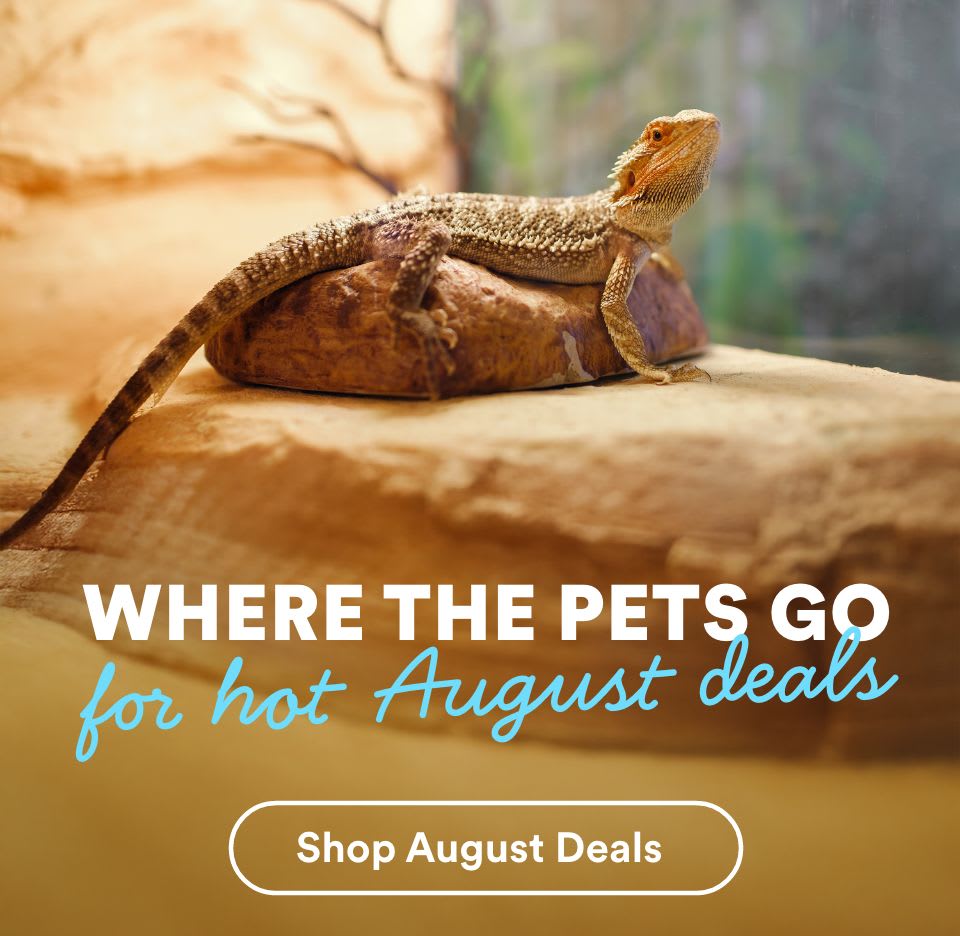 Where the pets go for hot August deals. Shop August Deals.