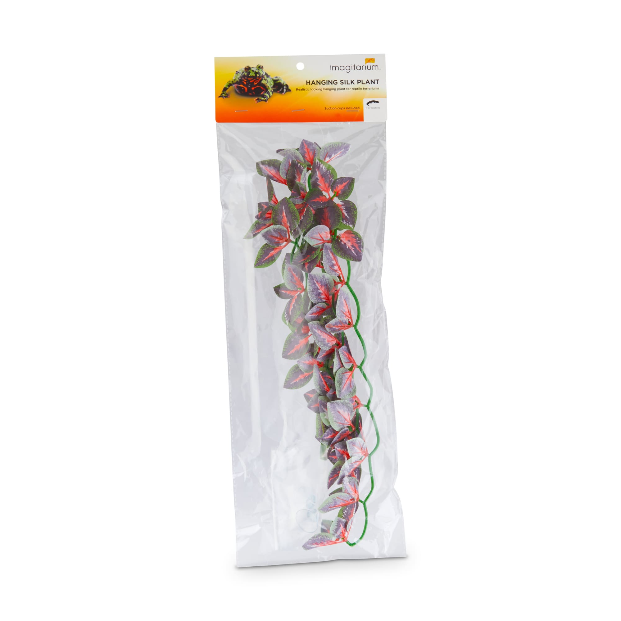 Imagitarium Hanging Red Silk Plant, Medium
