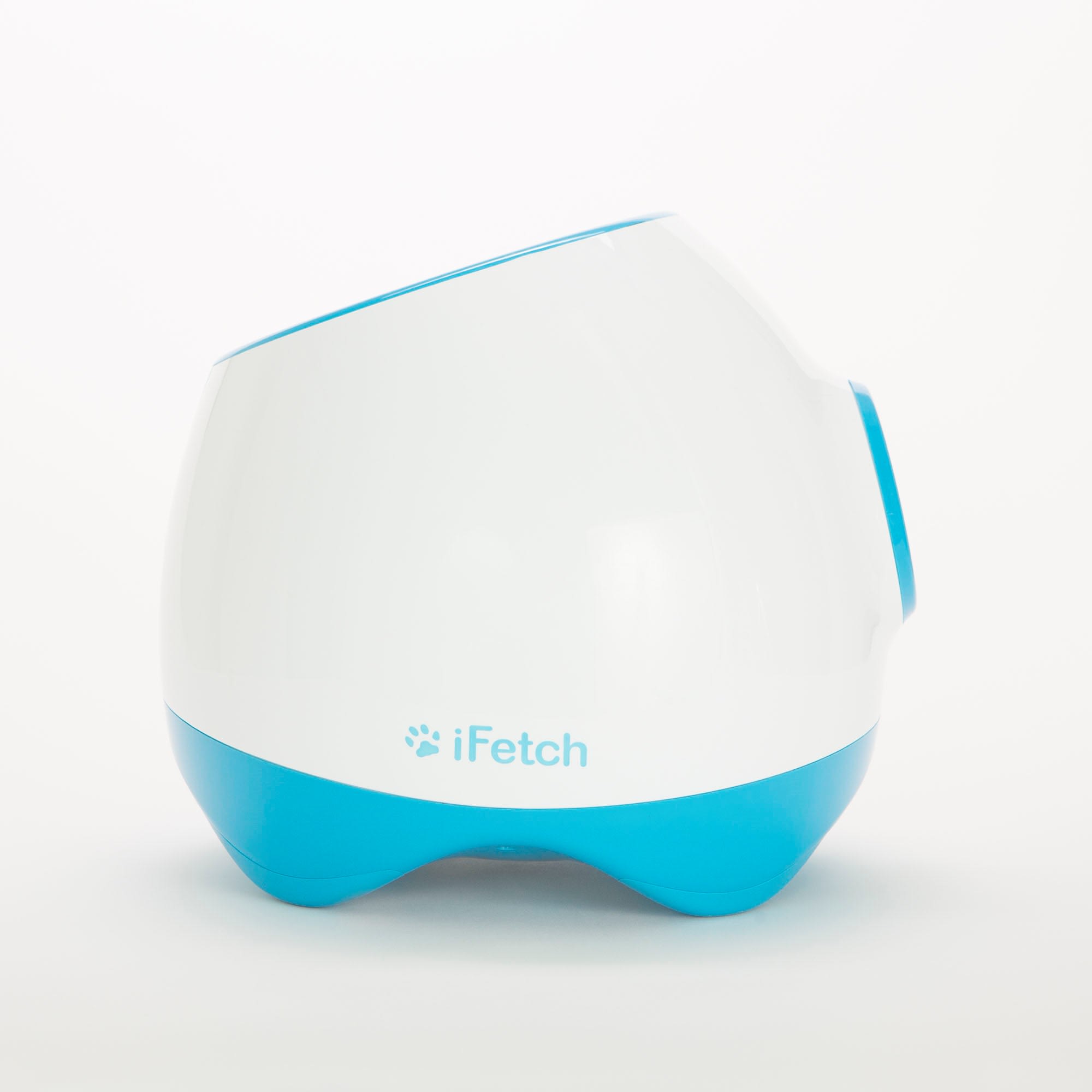 ifetch interactive dog fetch toy