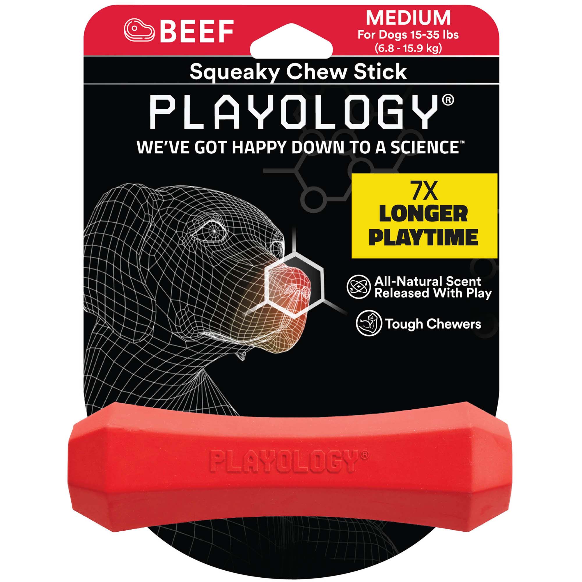 Playology Squeaky Beef Chew Stick for Dogs, Medium