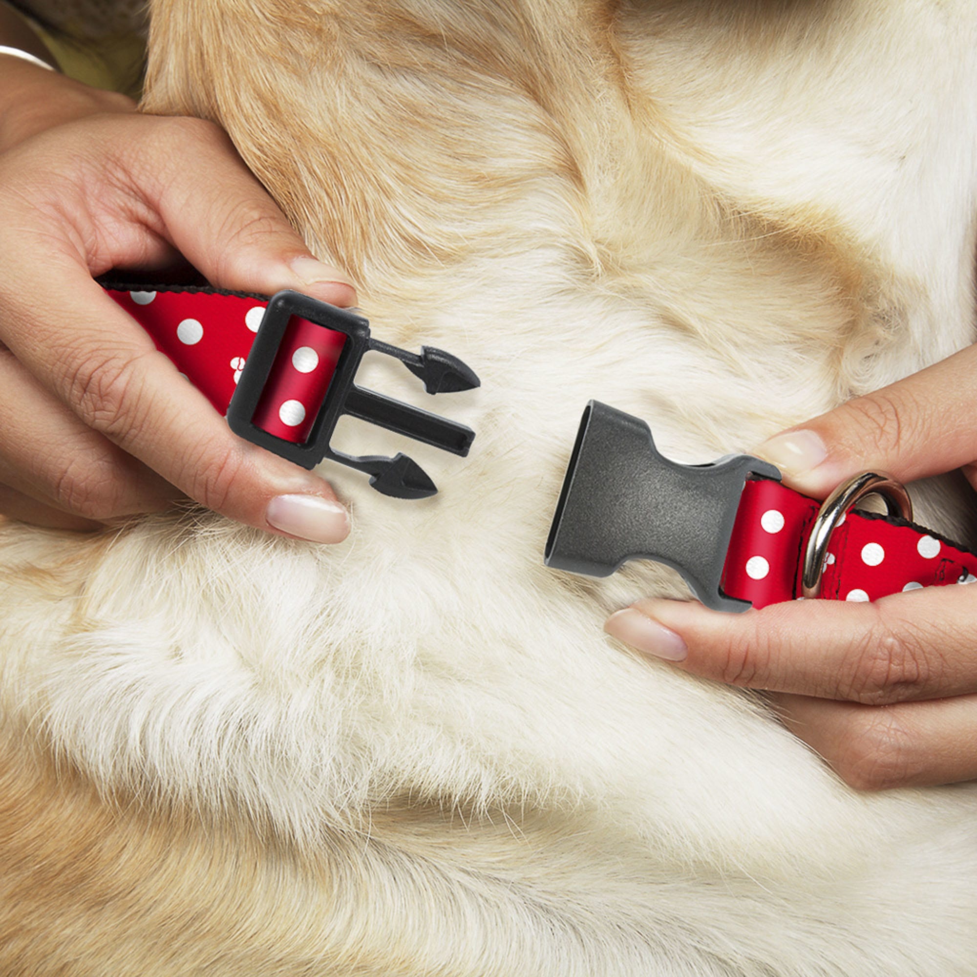 minnie mouse collar