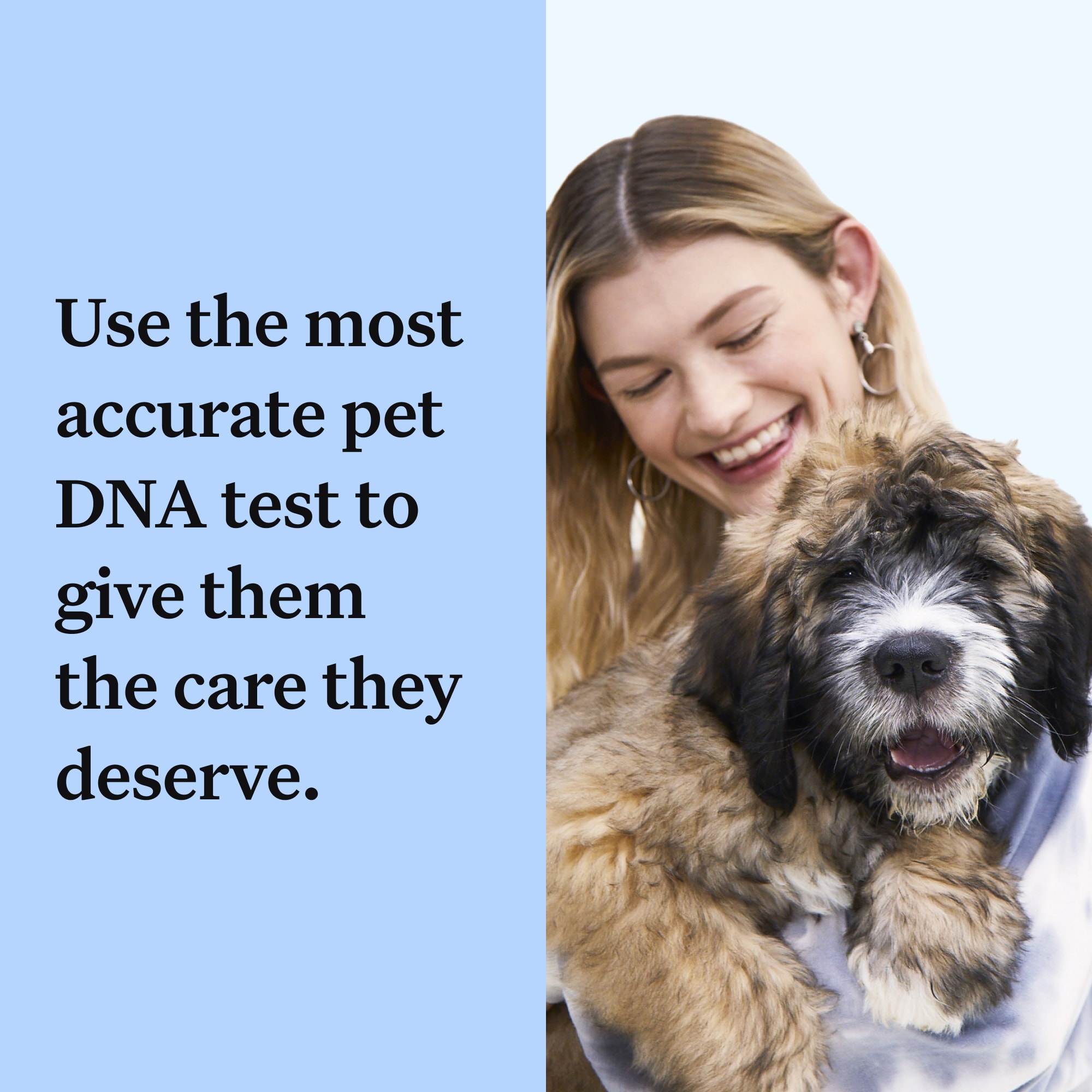 Wisdom Panel 3.0 Breed Identification Dog DNA Test Kit Petco