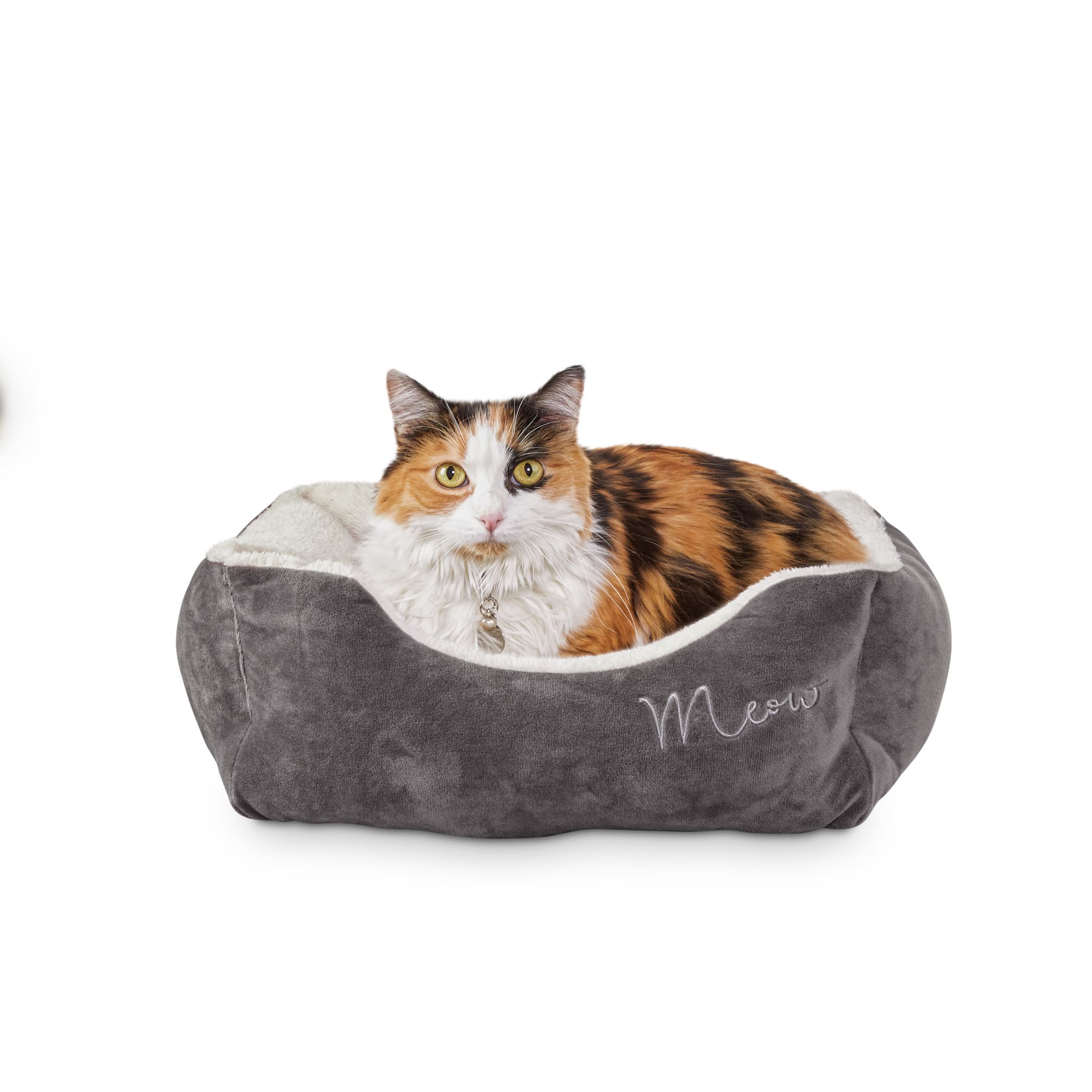 whiskers cat bed