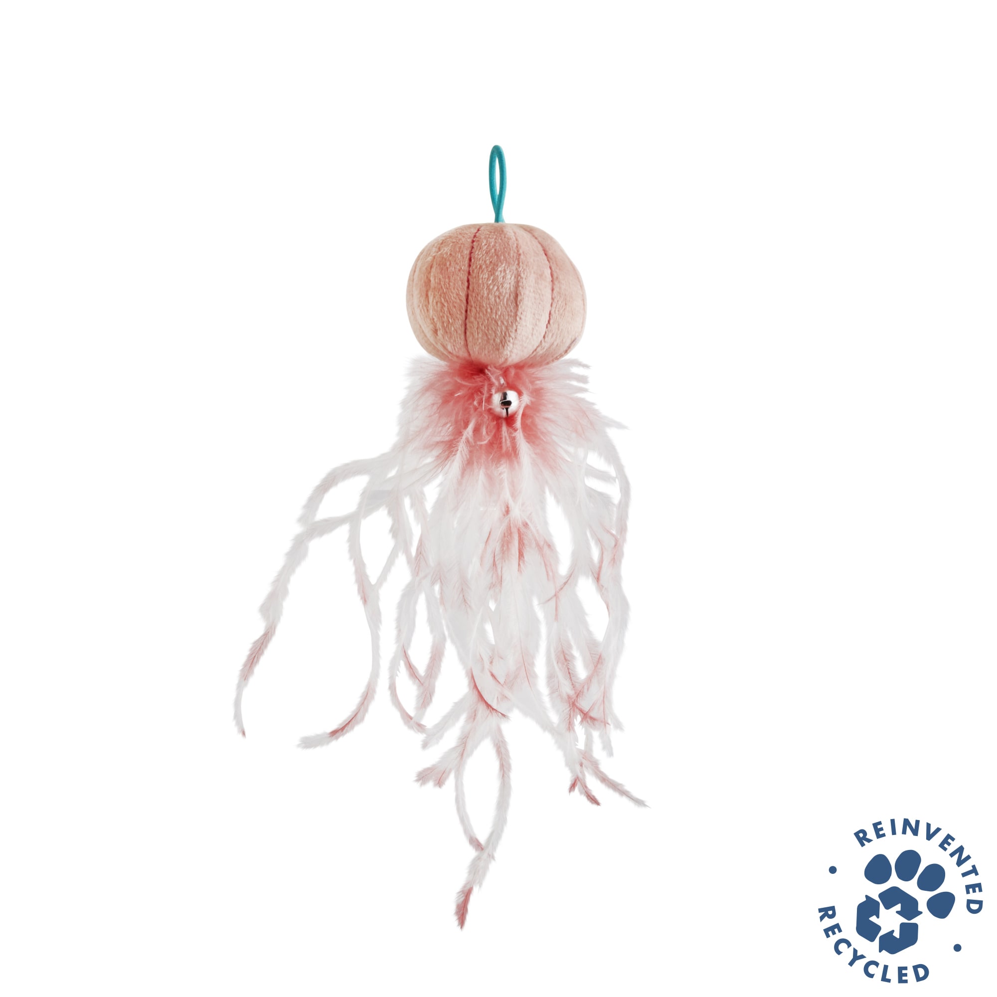 petco jellyfish