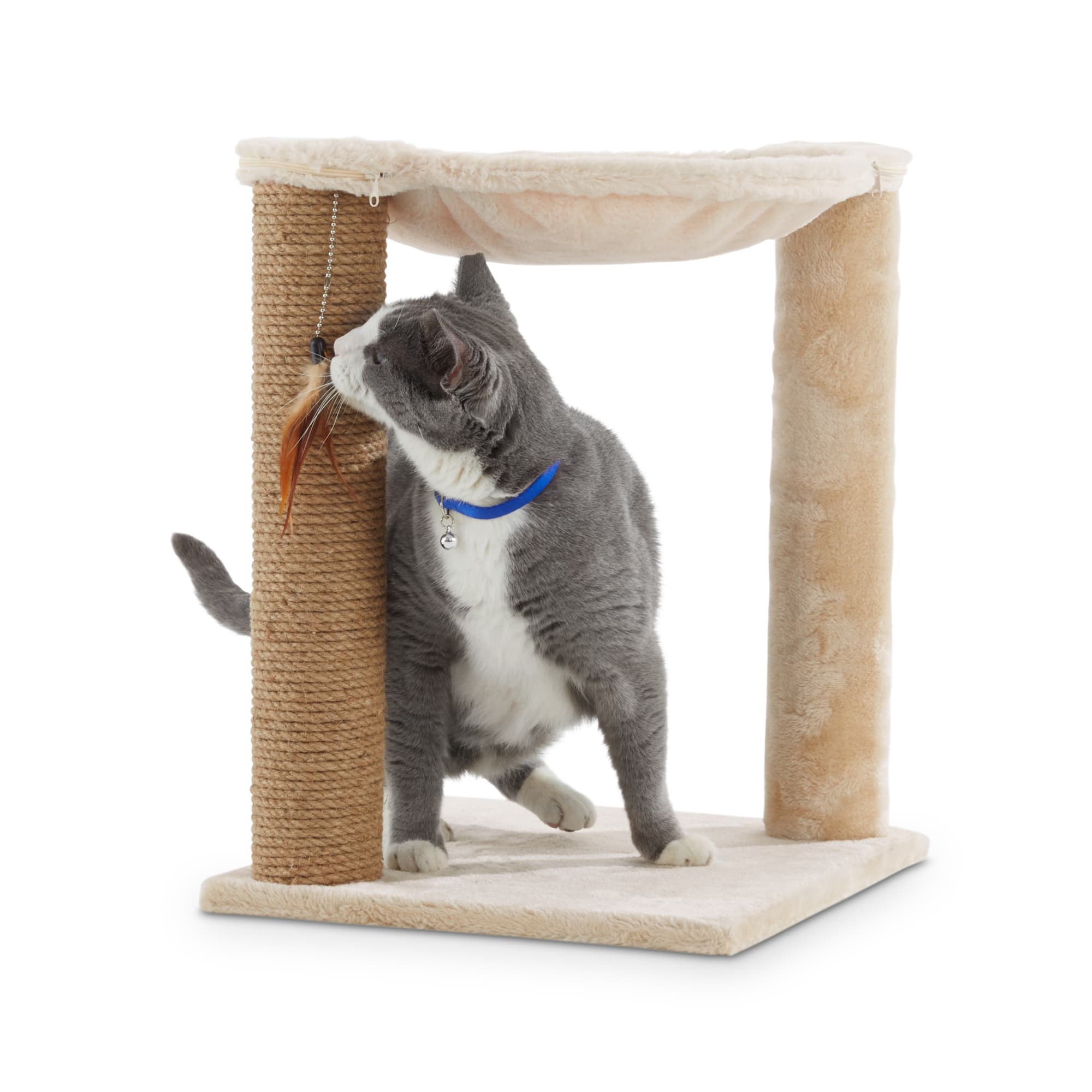 EveryYay Essentials Lookout Loft Ivory Hammock Cat Tree, 22.5" H Petco